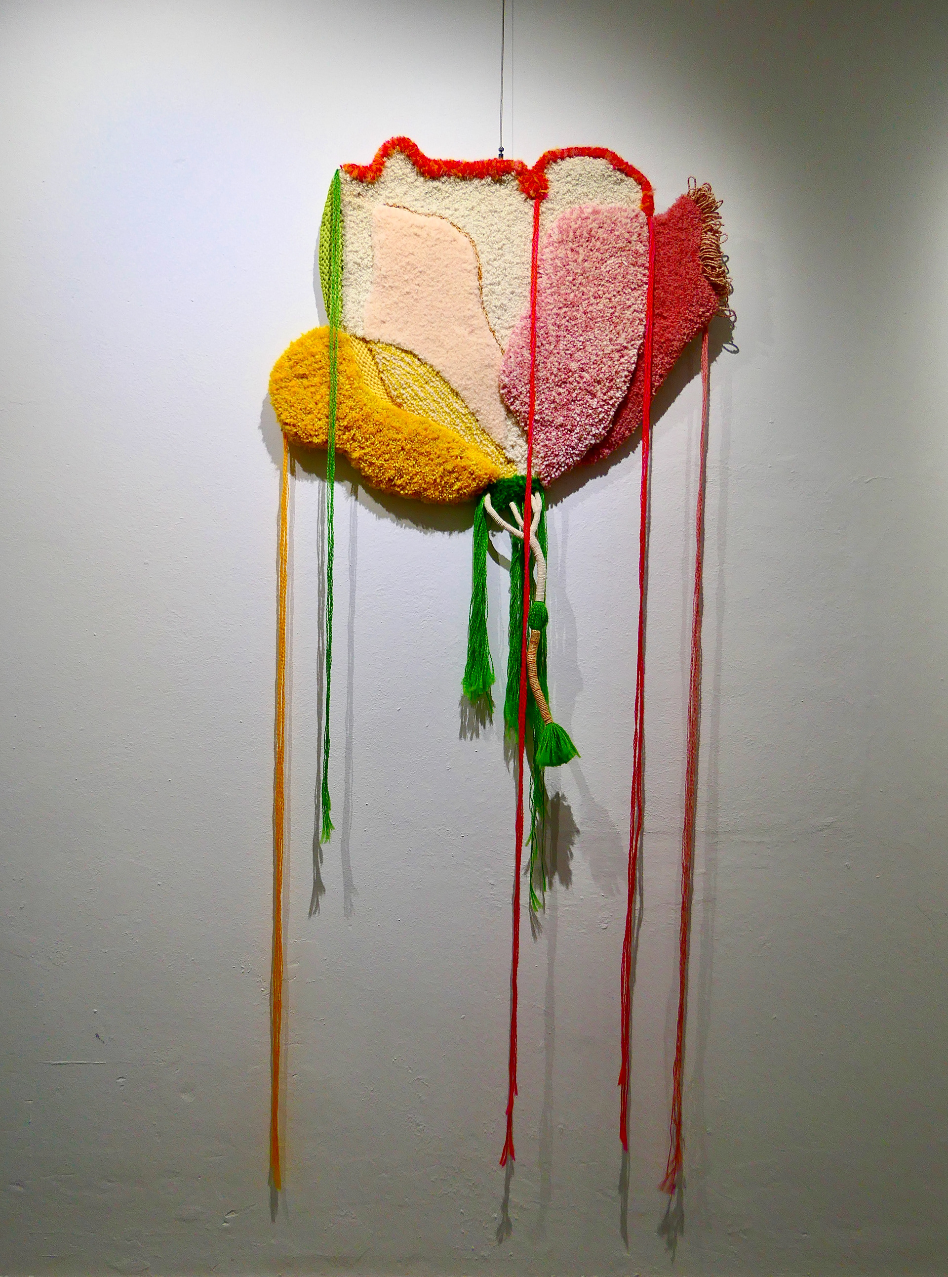 Exotic Emperor, 73 x 62 cm