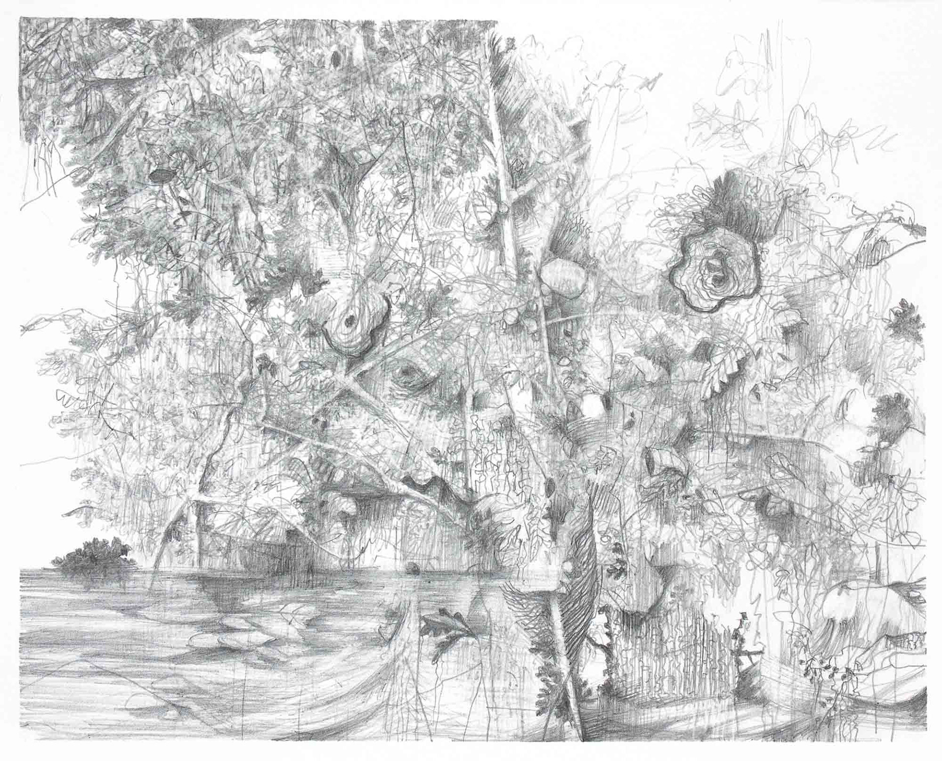 Fugue 2 graphite pencil on Bristol paper 6 1/2 x 8 inches 2020