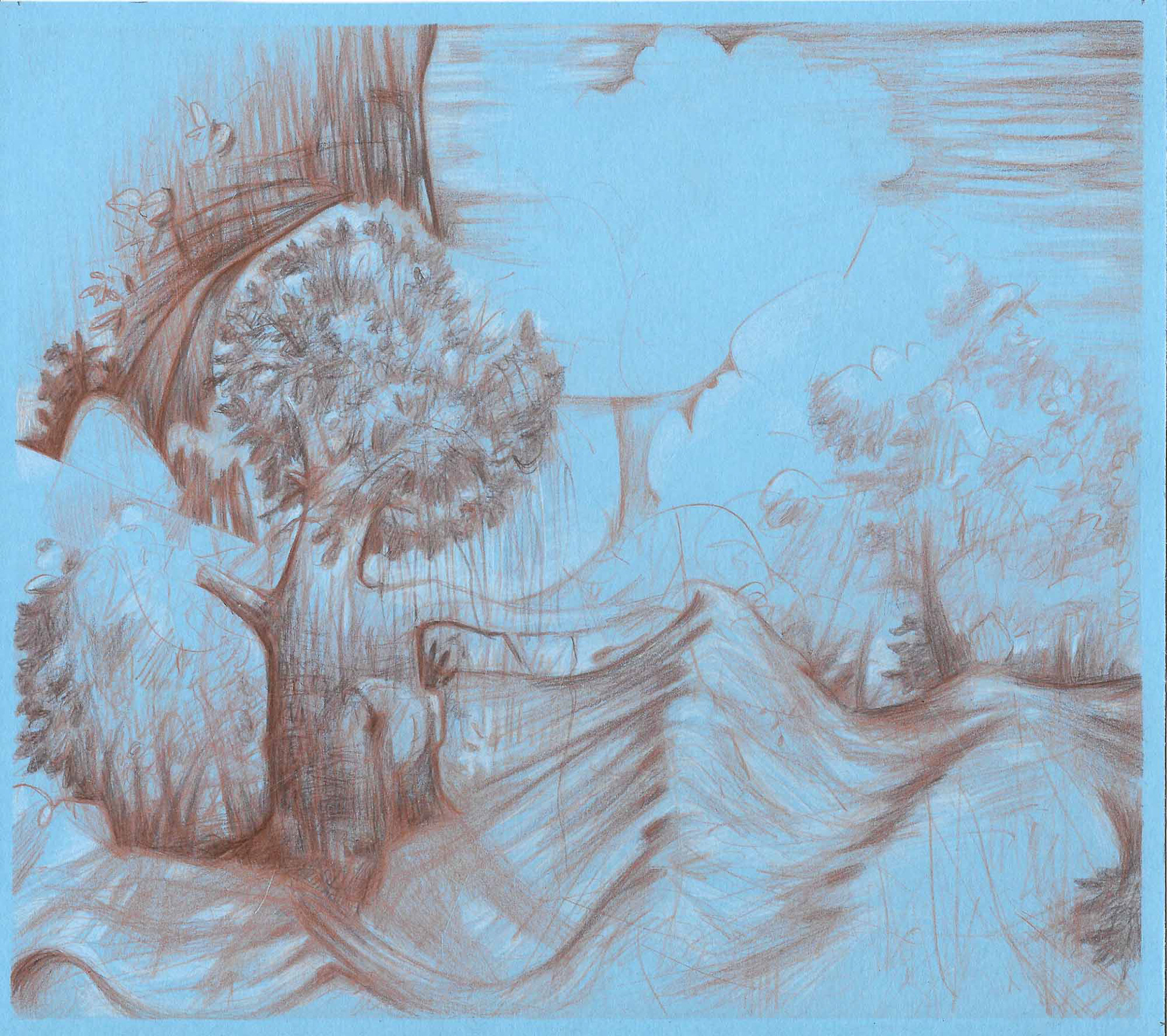 Swig color pencil on blue paper 8 x 9 inches 2017