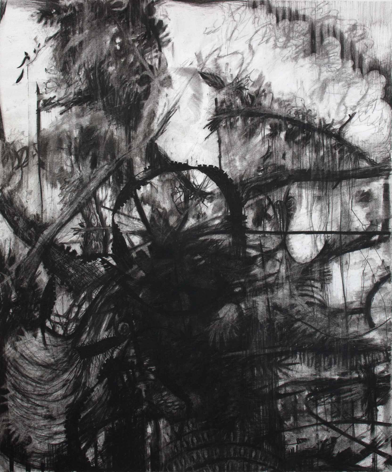 Florida charcoal on Bristol paper 16 3/4 x 14 inches 2016