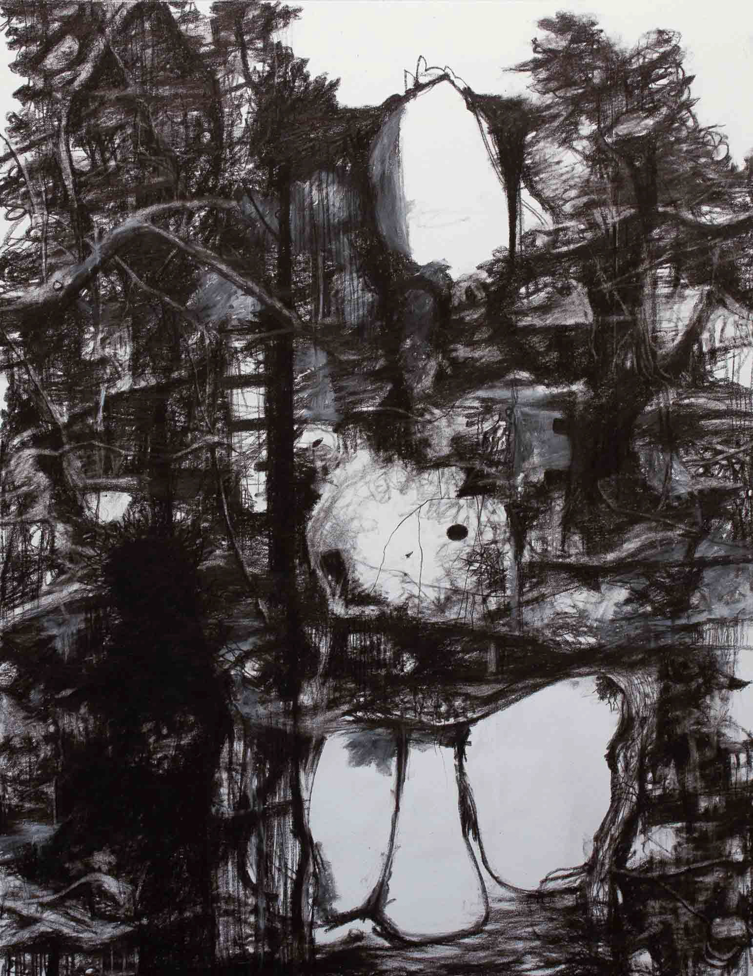 Afternoon charcoal, carbon, and white pastel pencil on Bristol paper 14 x 11 inches 2022