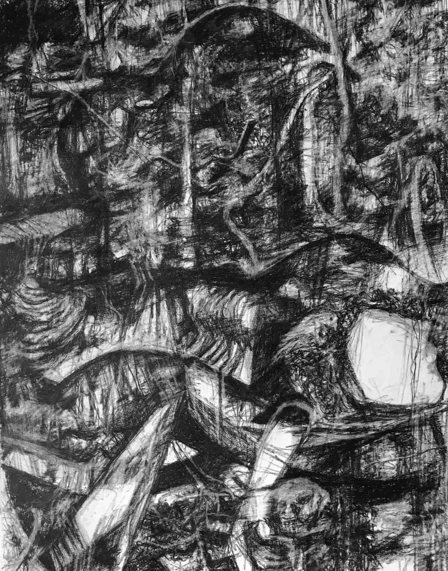 untitled-03082022 charcoal pencil on Bristol paper 14 x 11 inches 2022