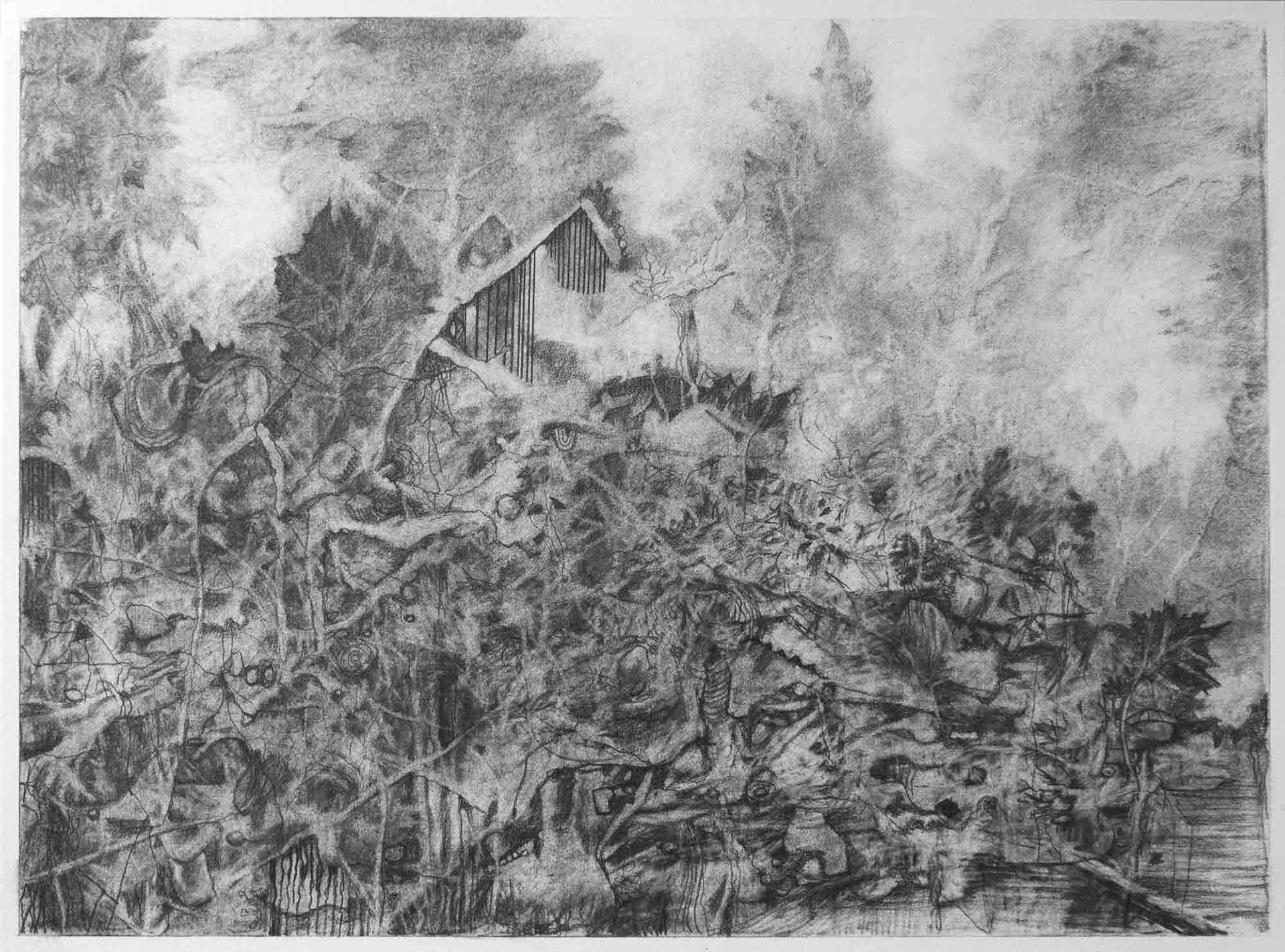 Leaf graphite on paper 9 x 12 inches 2021