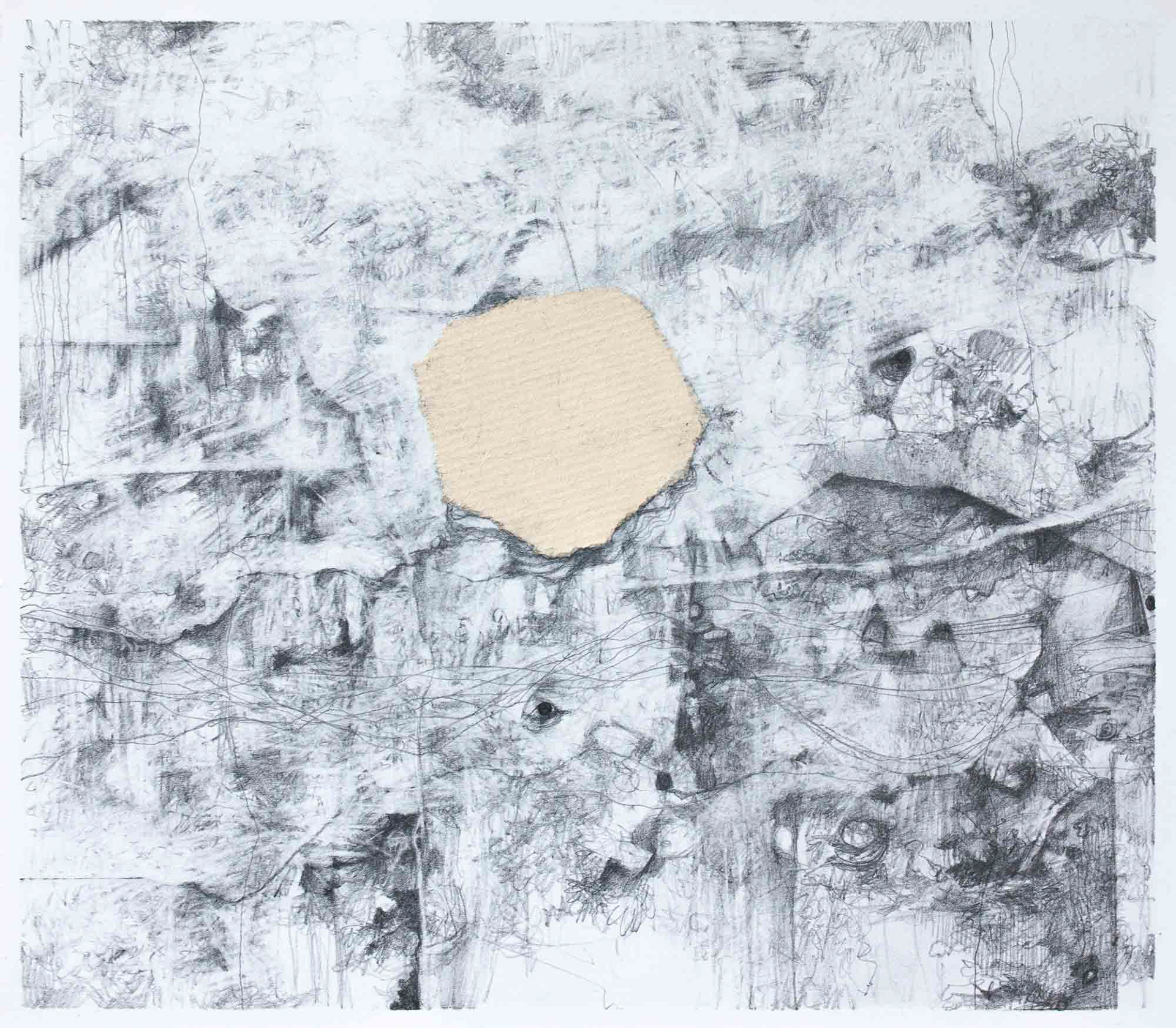 untitled-01032022 graphite pencil on Bristol paper 7 x 8 inches 2022