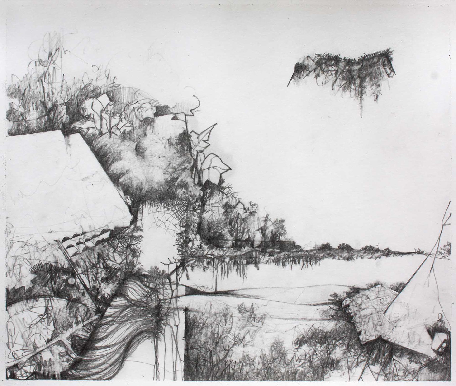 Cove graphite pencil on Bristol paper 8 x 9 1/2 inches 2015