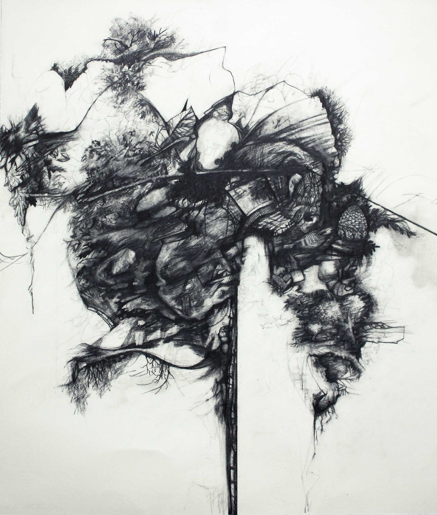 Embed Cycle graphite pencil on paper 21 1/2 x 18 1/2 inches 2014