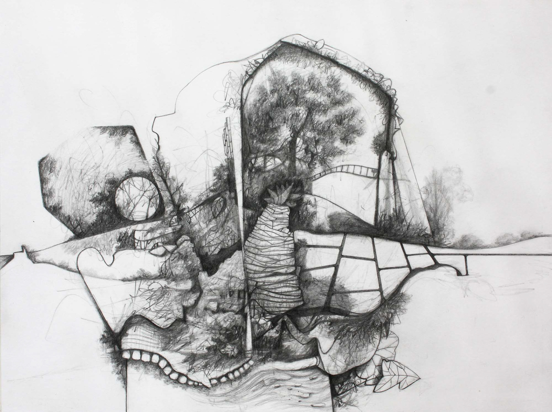 Night Garden graphite pencil on Bristol paper 9 x 12 inches 2014