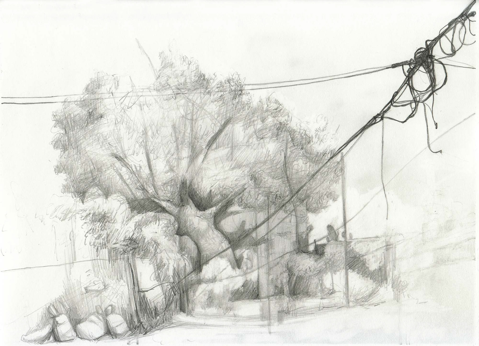 Alley graphite on paper 9 x 12 inches 2012