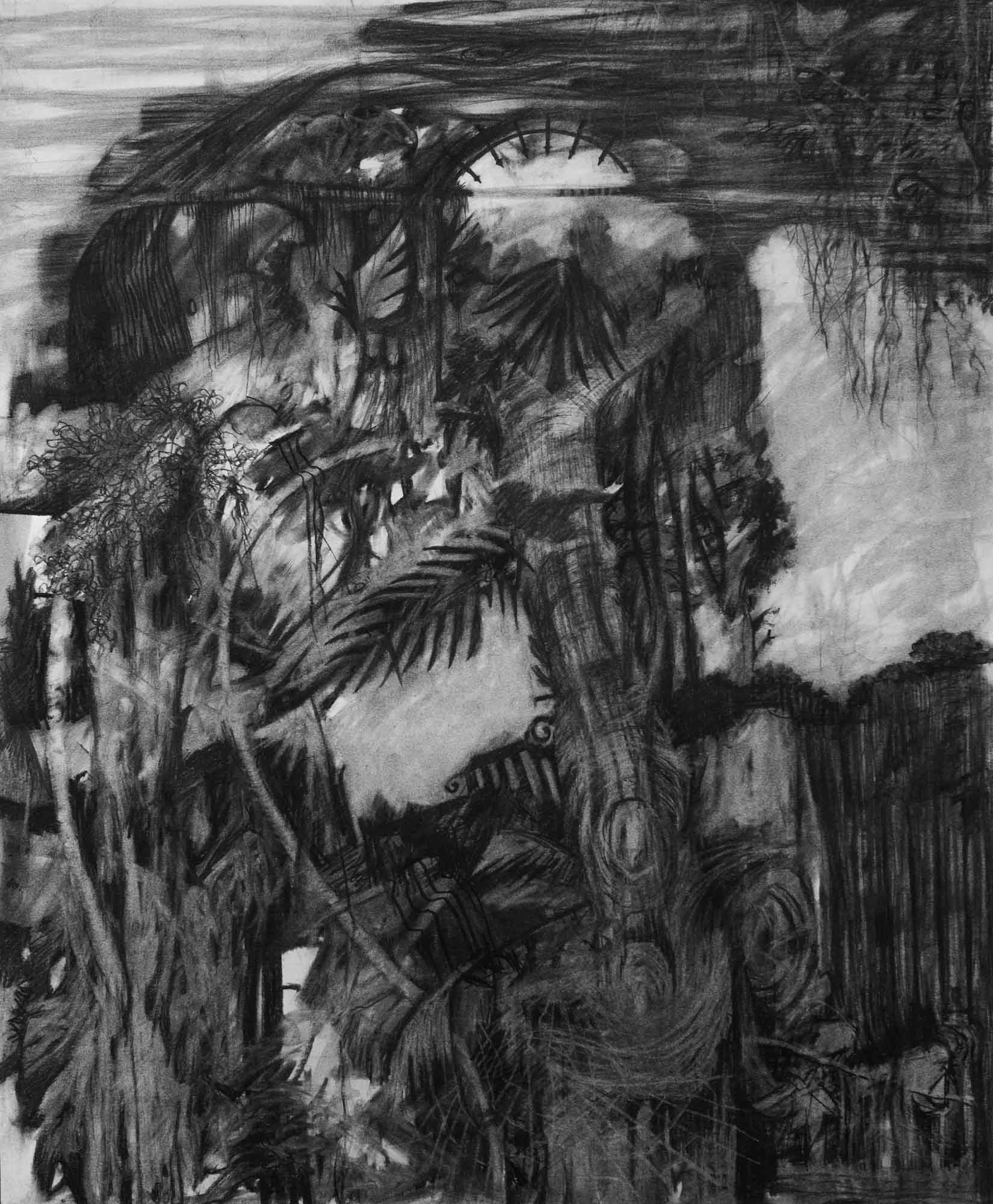 Florida 2 charcoal on Bristol paper 17 x 14 inches 2017