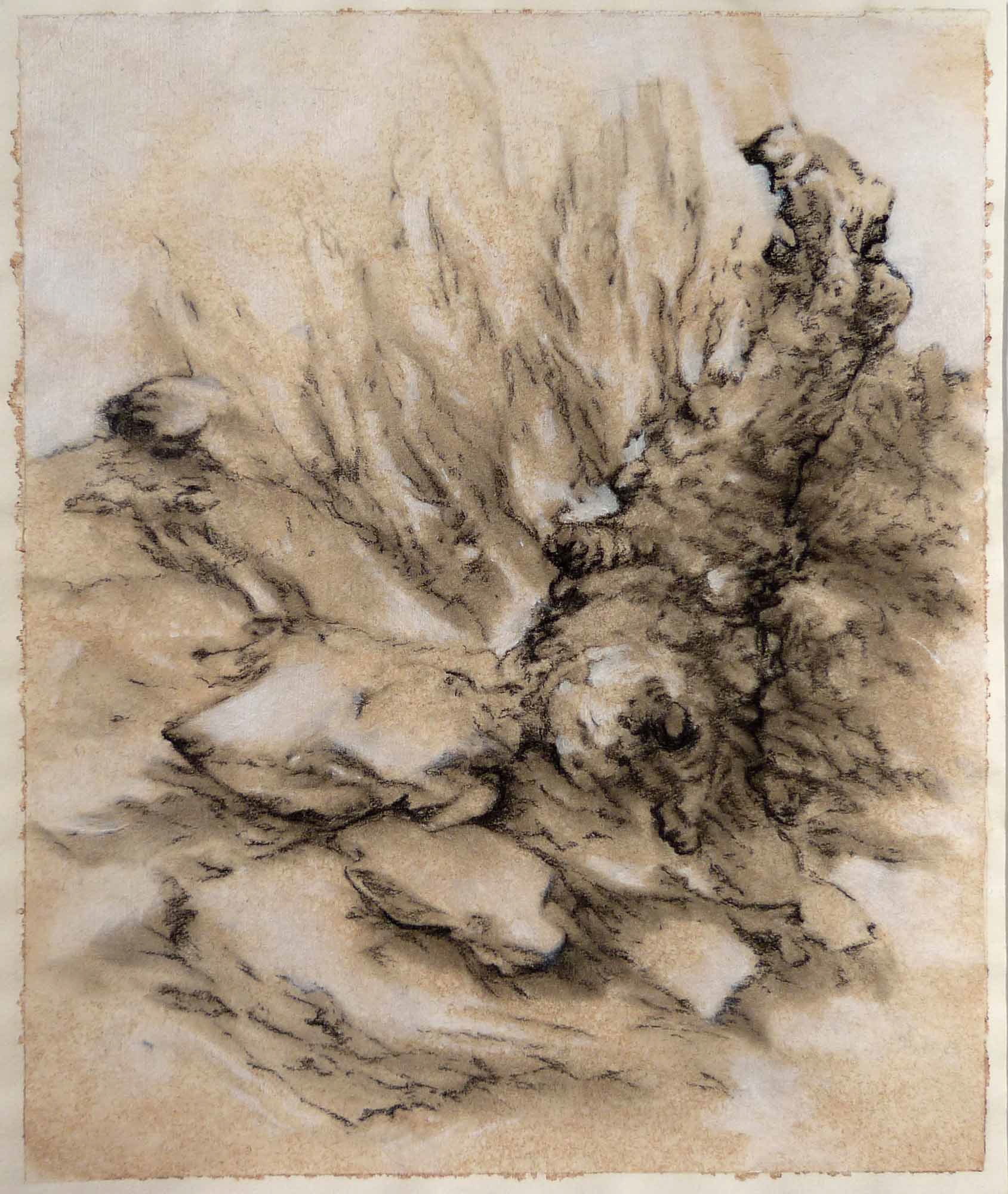 Burnt acrylic and charcoal on paper 9 1/2 x 8 inches 2010