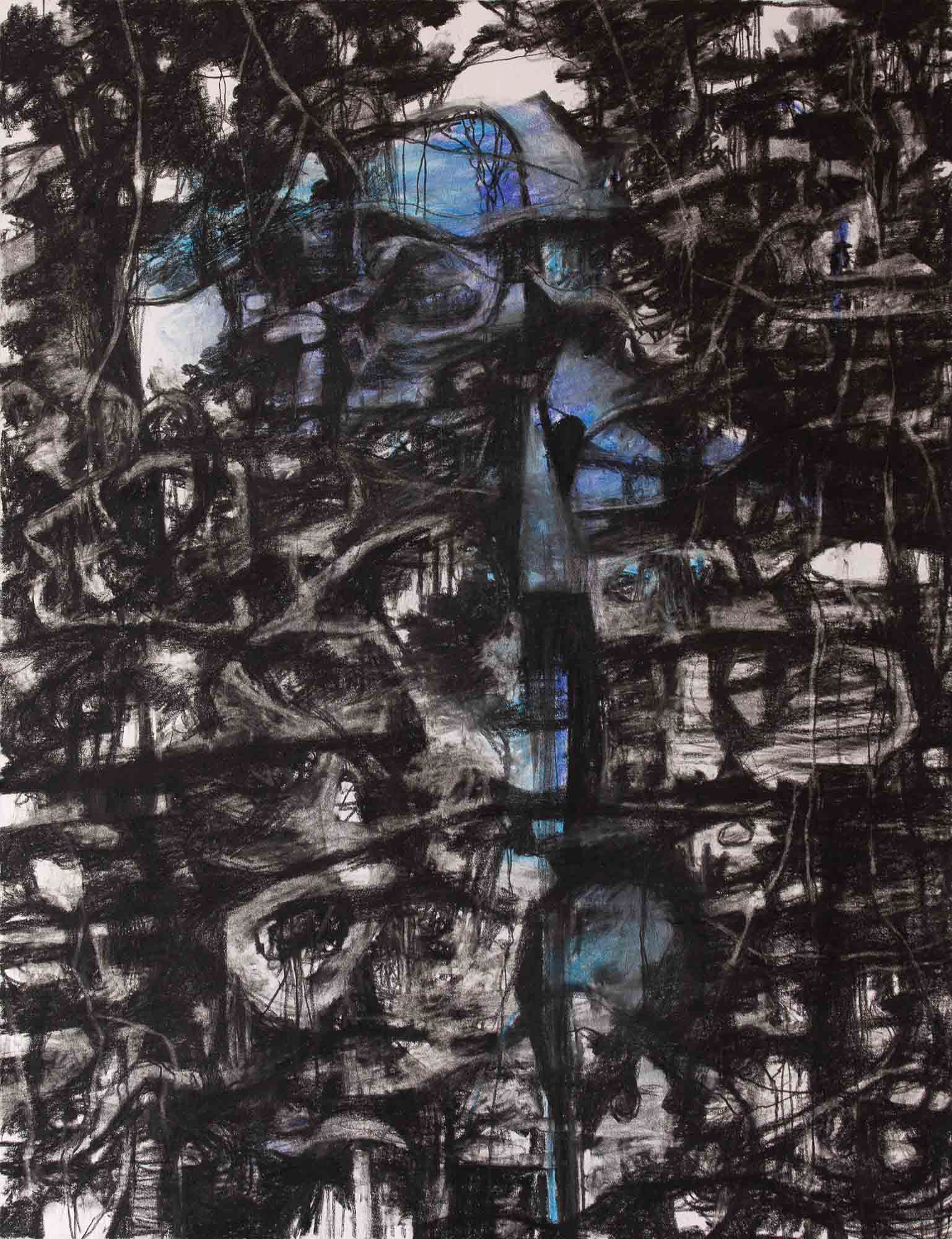 Mirror charcoal, carbon, and pastel pencil on Bristol paper 14 x 11 inches 2022