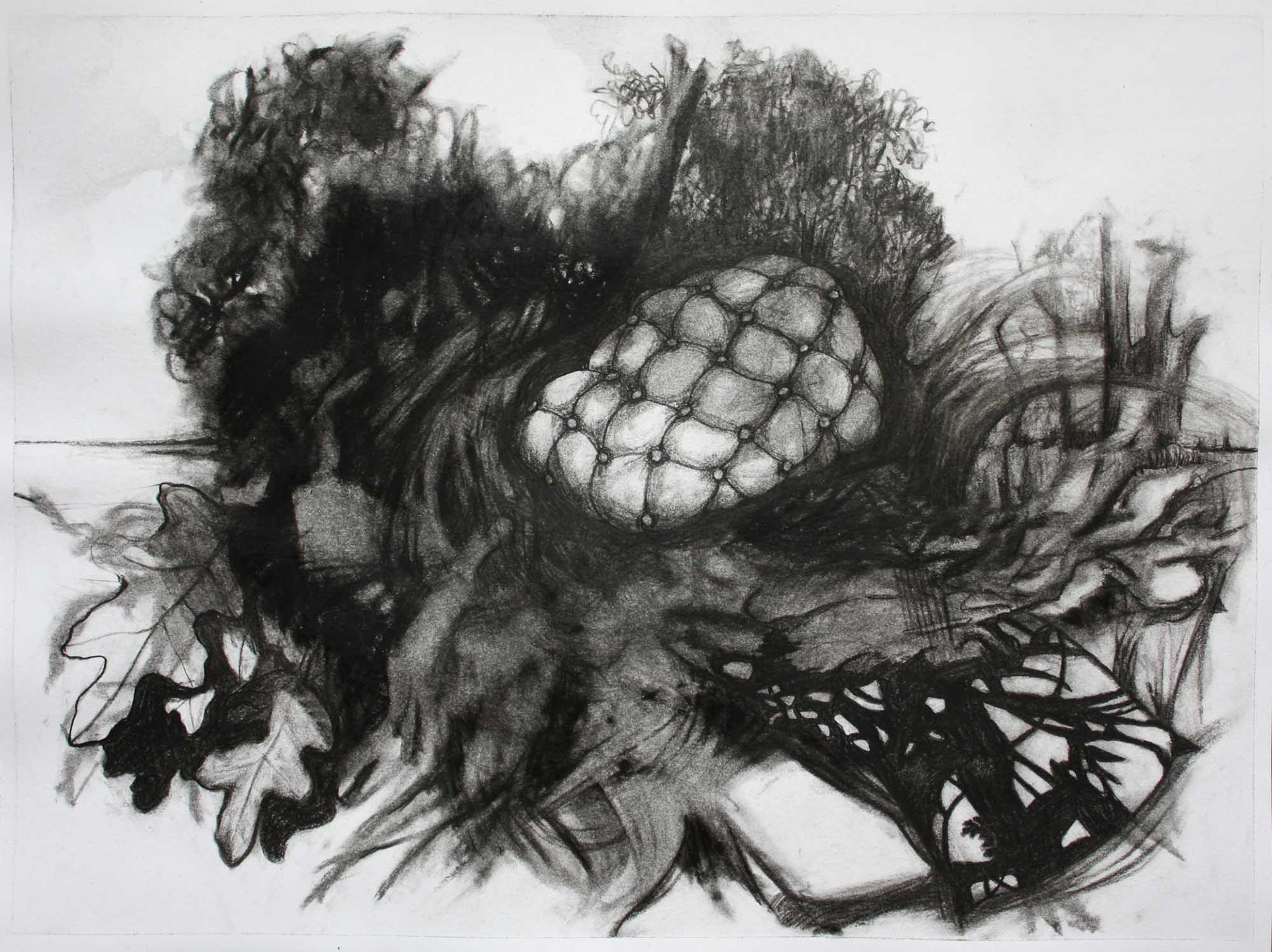 Button Back Bush charcoal on paper 9 x 12 inches 2013