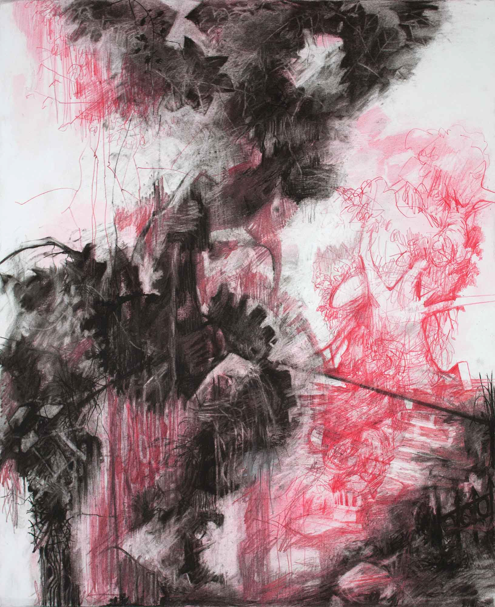 Garden Wall charcoal, conte, and color pencil on Bristol paper 17 x 14 inches 2017