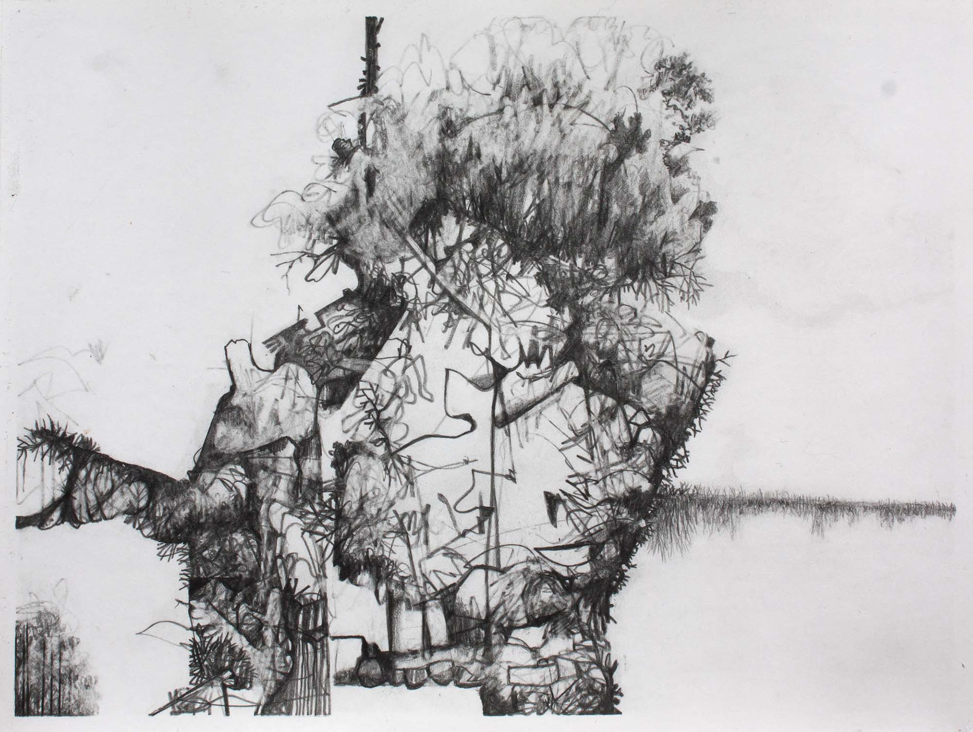 Effigy graphite pencil on Bristol paper 6 x 8 inches 2015