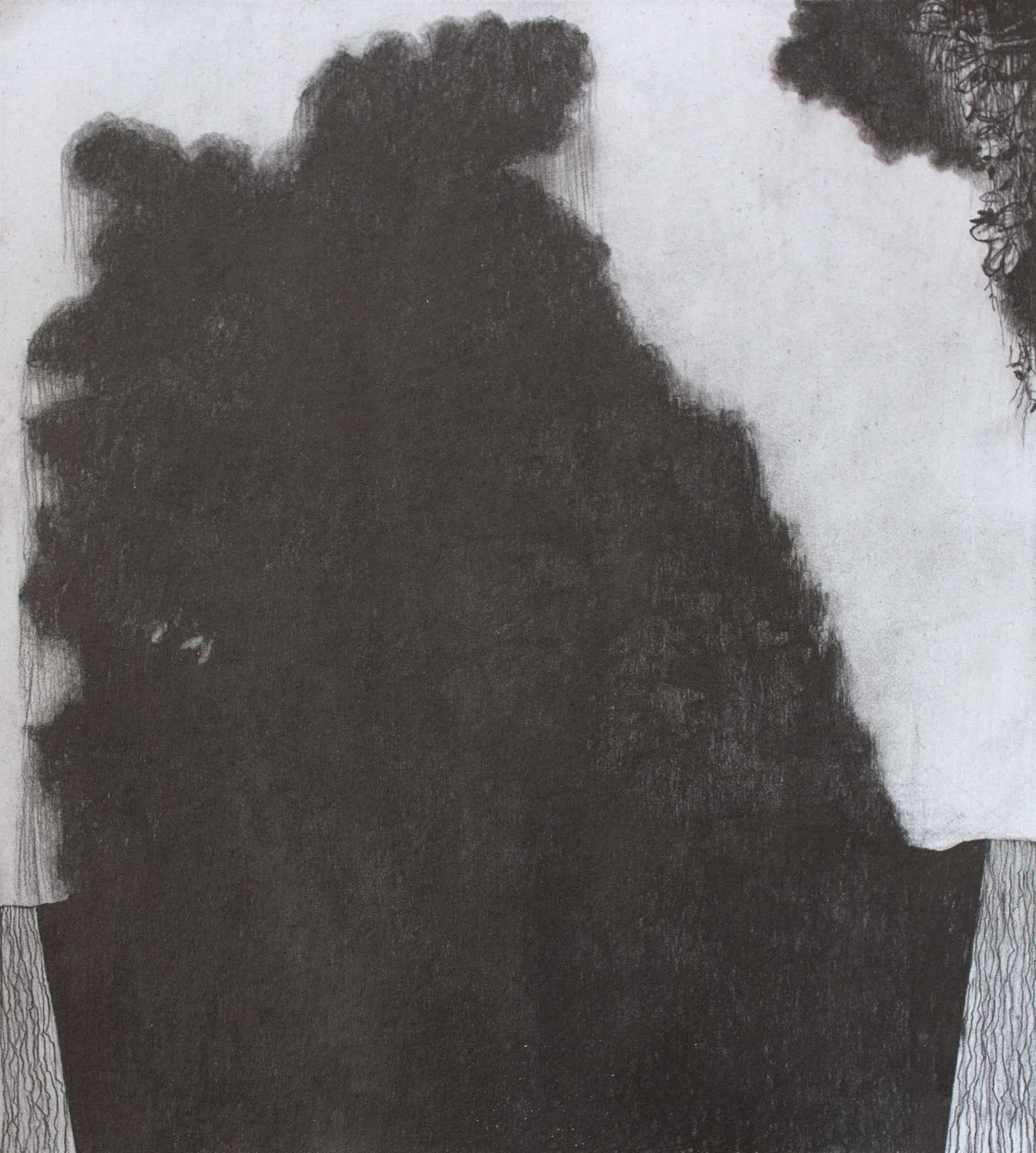 Hedge graphite on grey paper 11 7/8 x 10 3/4 inches 2019