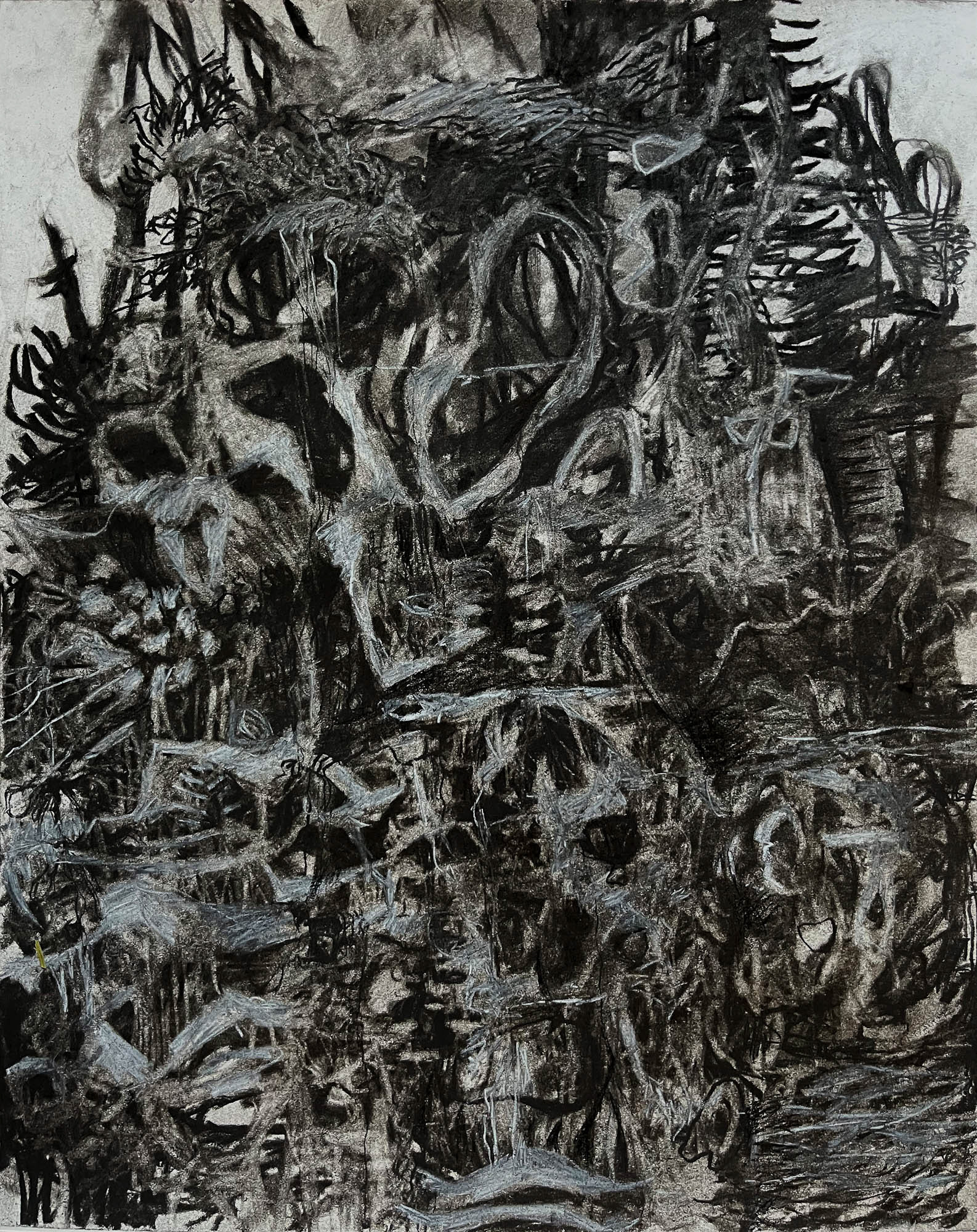 Roost charcoal, carbon pencil, and grease pencil on Bristol paper 14 x 11 inches 2023