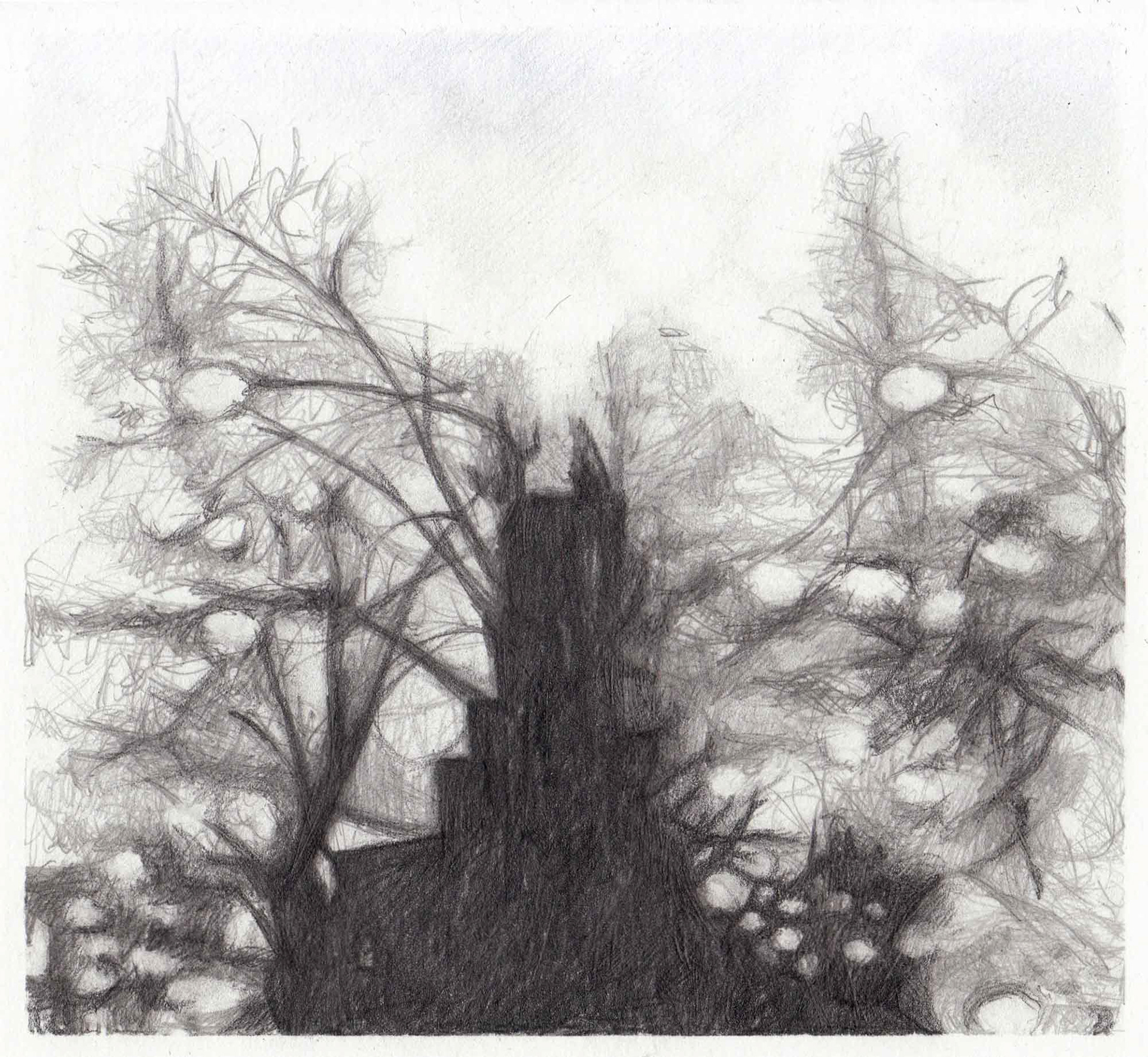 Dusk graphite pencil on paper 5 x 5 1/2 inches 2012
