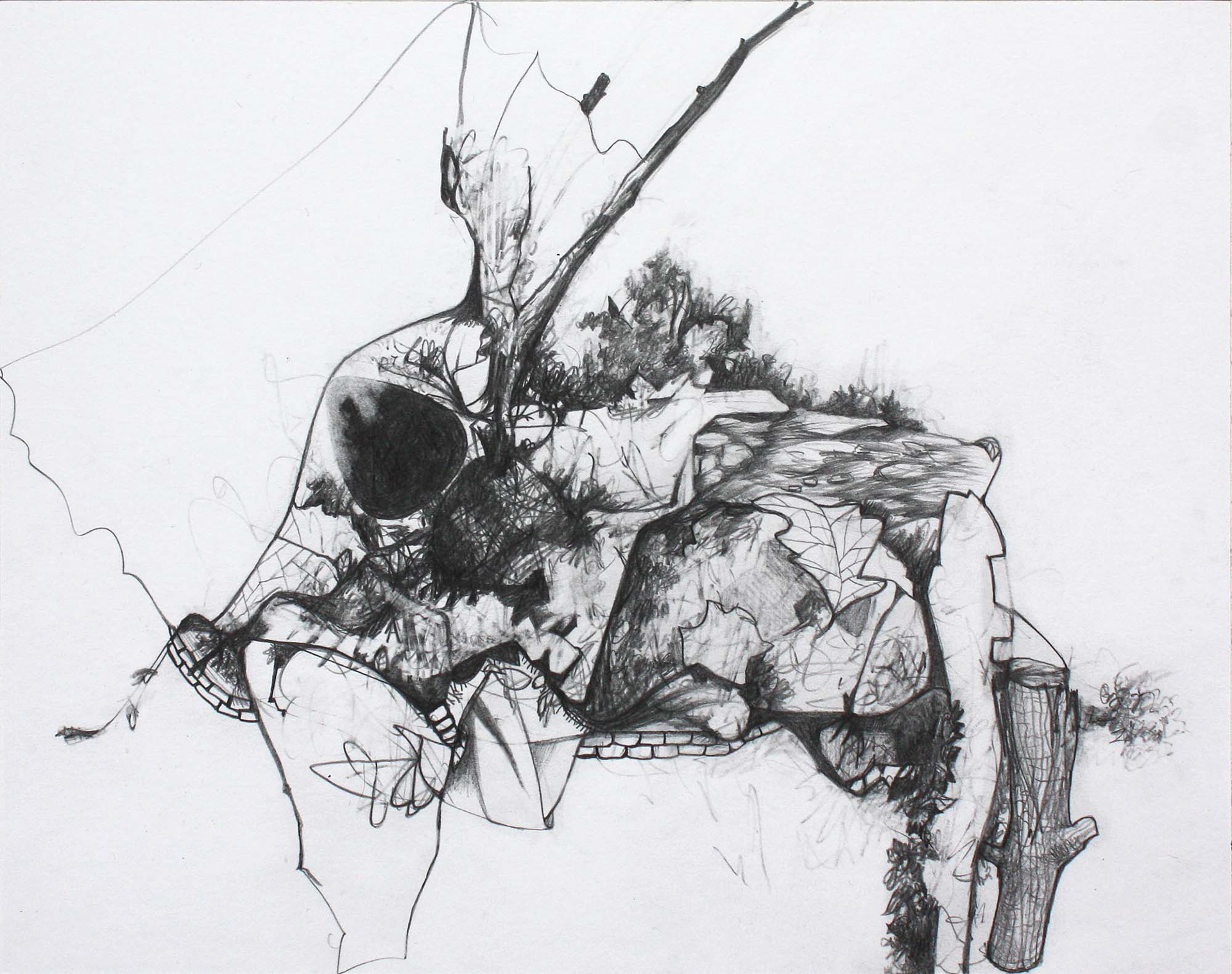 Plateau graphite pencil on Bristol paper 7 5/8 x 9 5/8 inches 2014