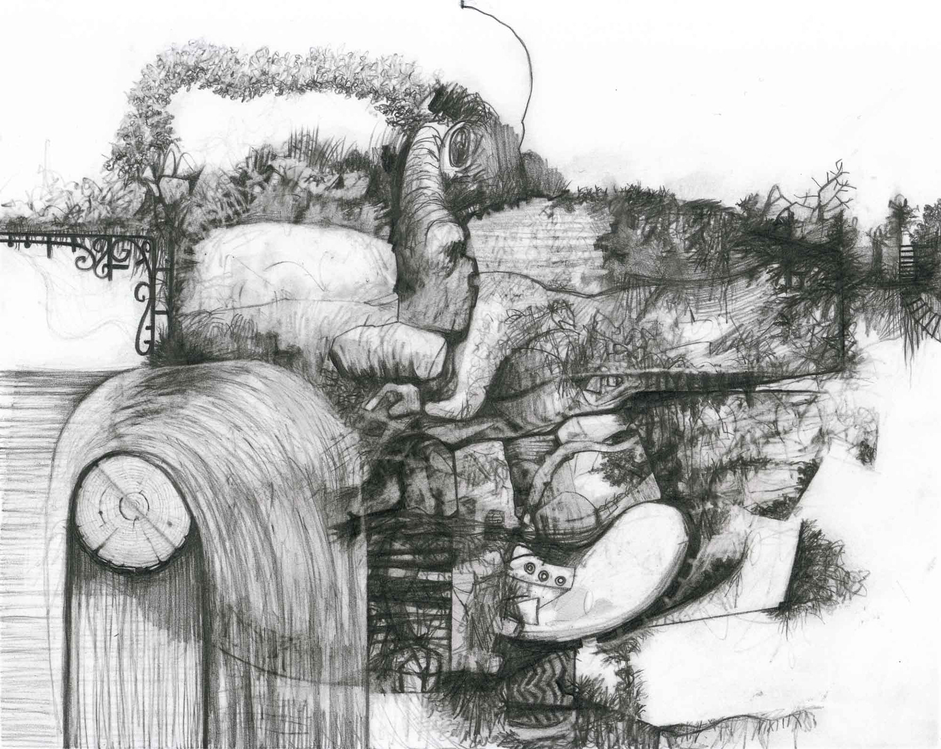 Lock graphite pencil on Bristol paper 8 x 10 inches 2015