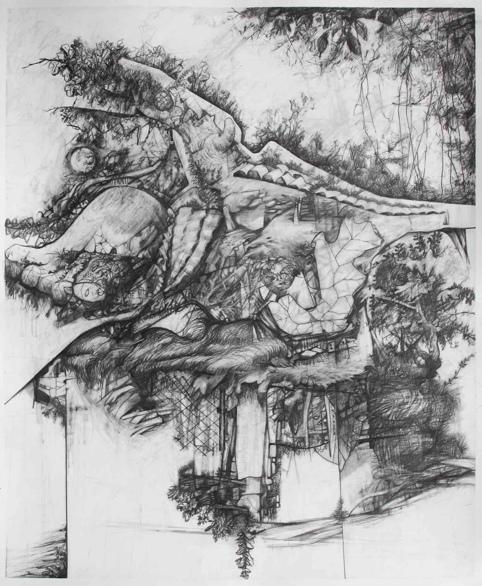 Ruin Envy graphite pencil on Bristol paper 17 x 14 inches 2014