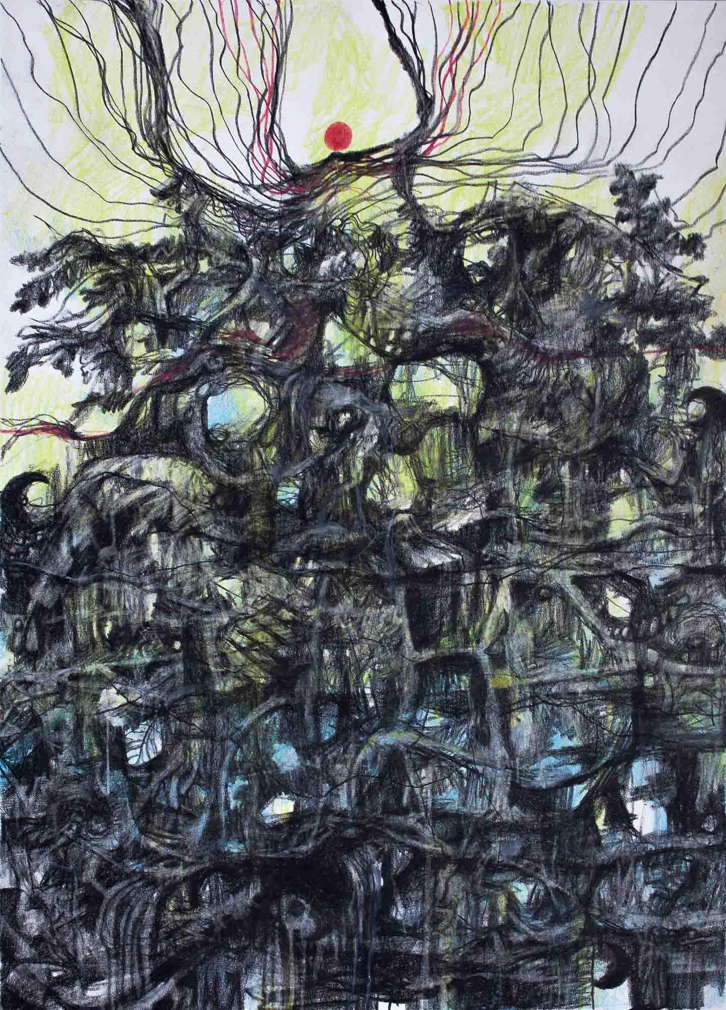 Superstition 07042022 carbon pencil and color pencil on Bristol paper 11 x 8 inches 2022