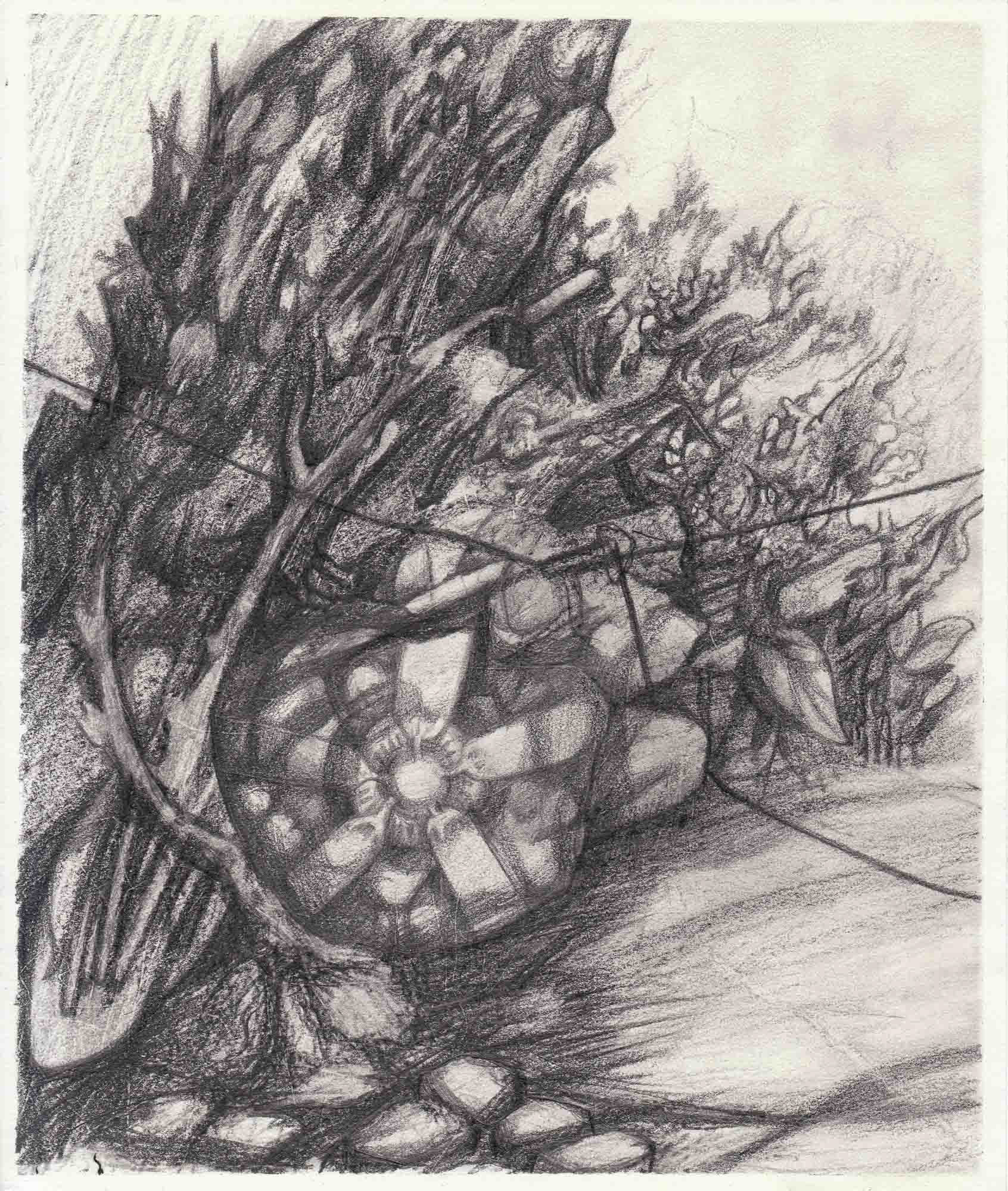Fossil graphite on paper 9 1/2 x 8 inches 2012