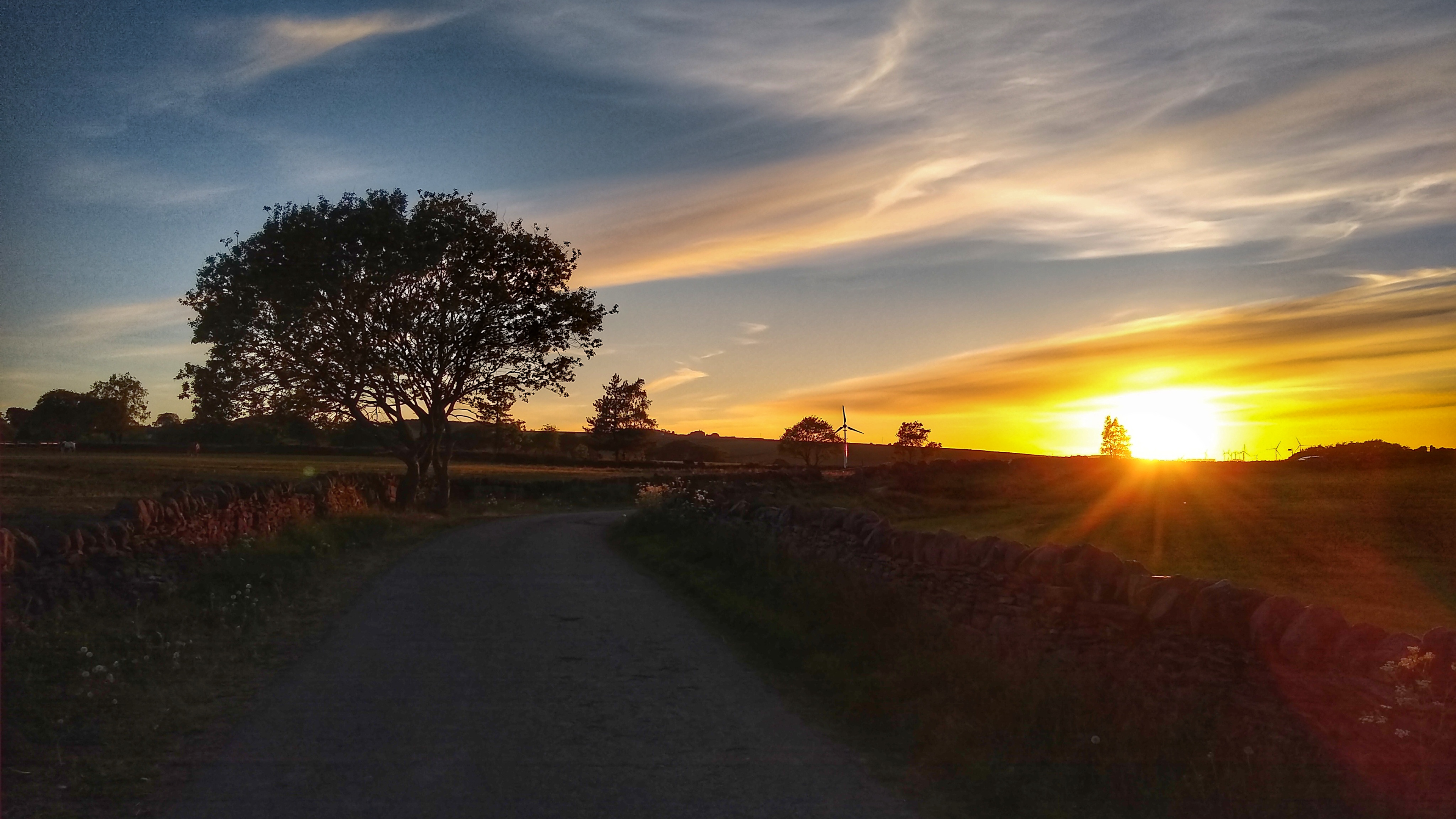 Joan Royd Lane, Cubley