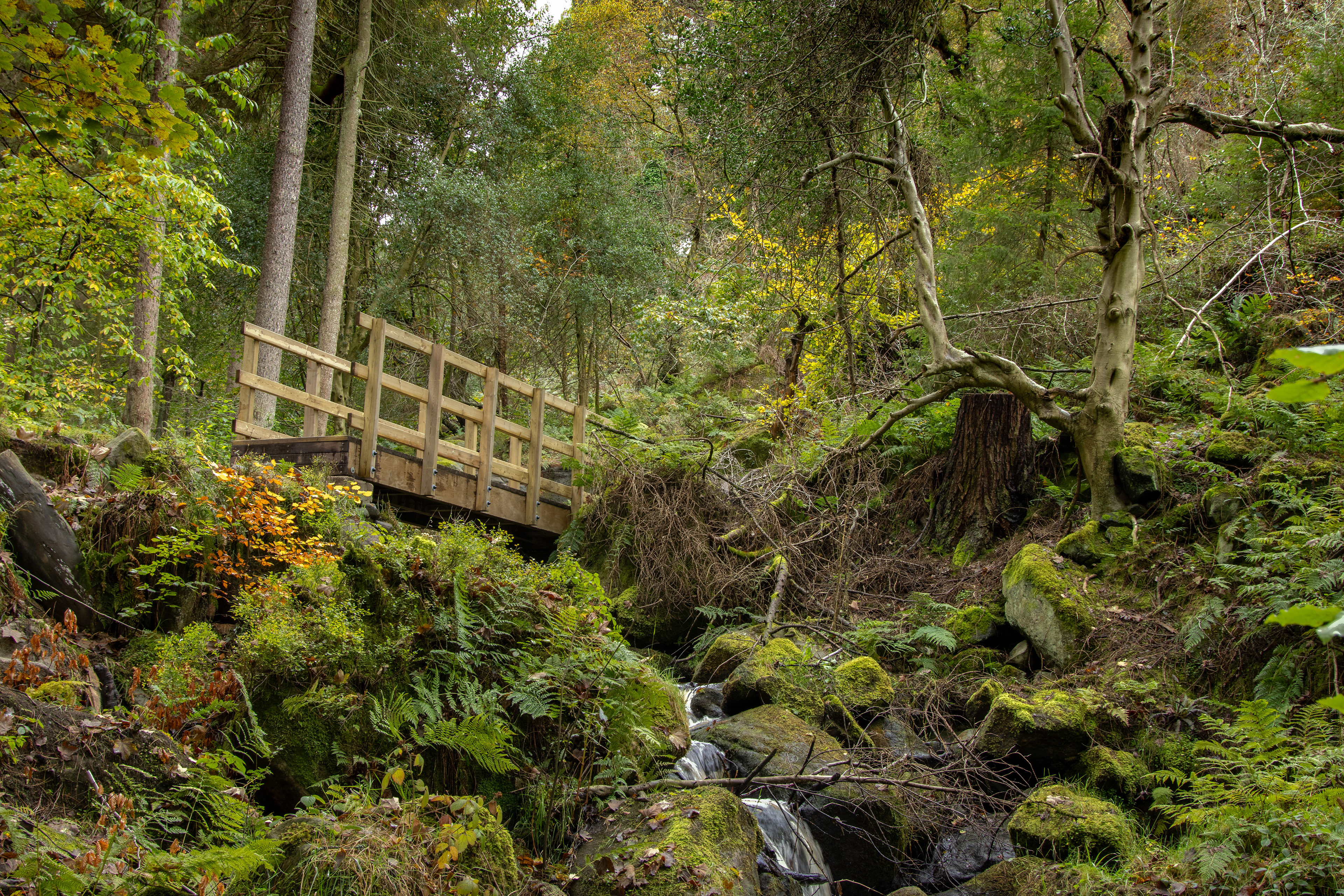 Wyming Brook Nature Reserve