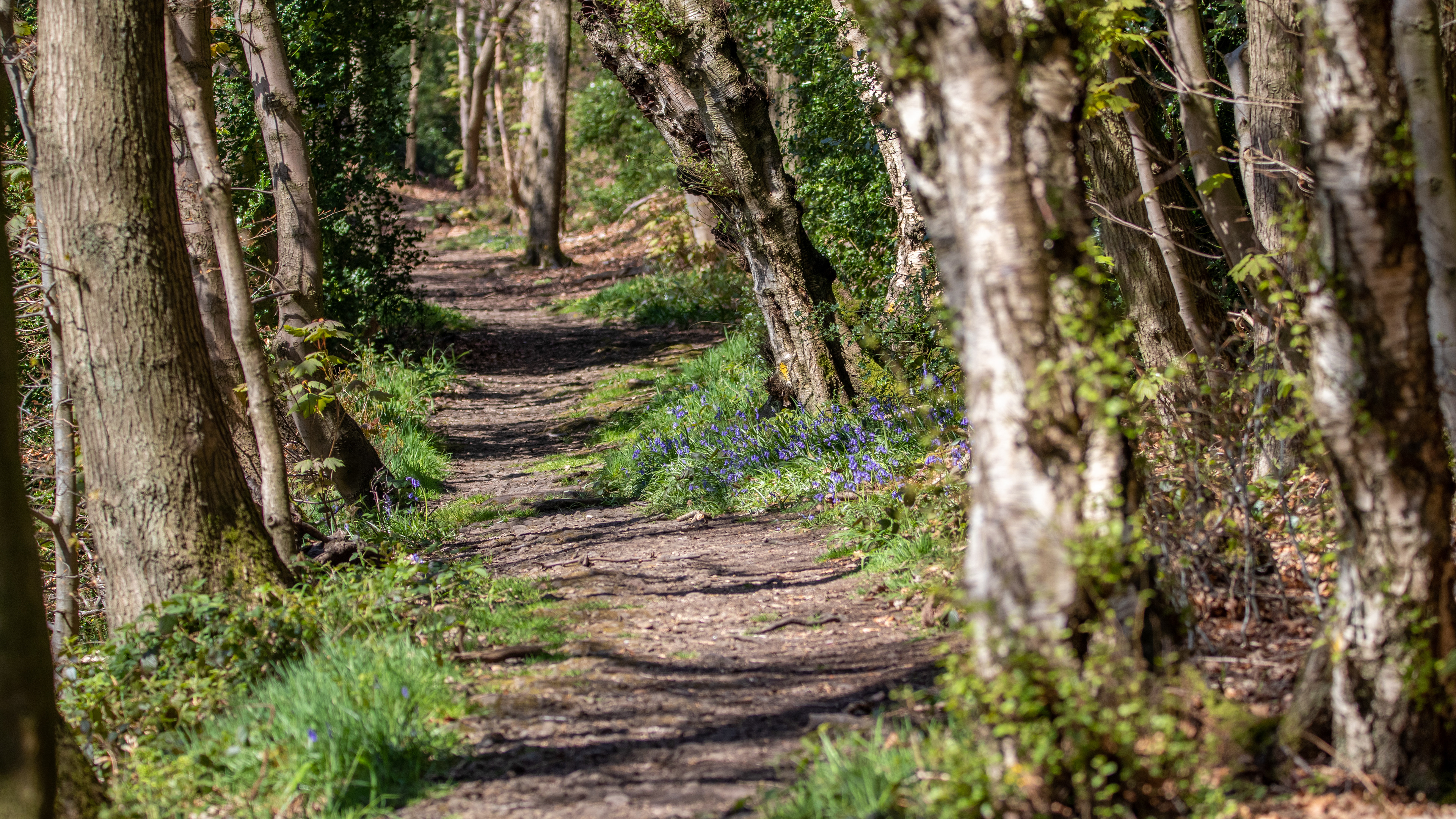Wagon Way, Midhopestones