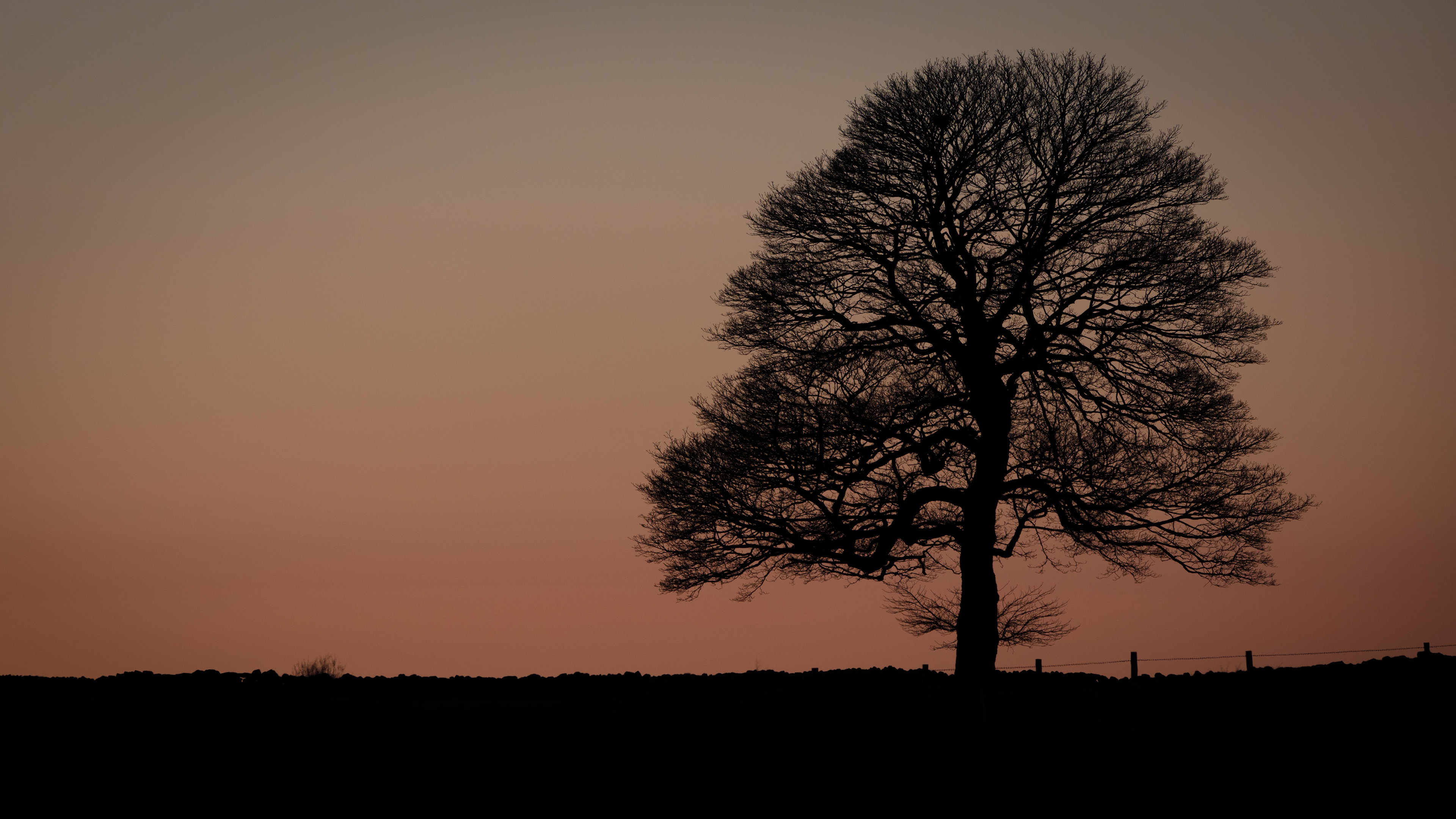 Doubting Lane, Cubley