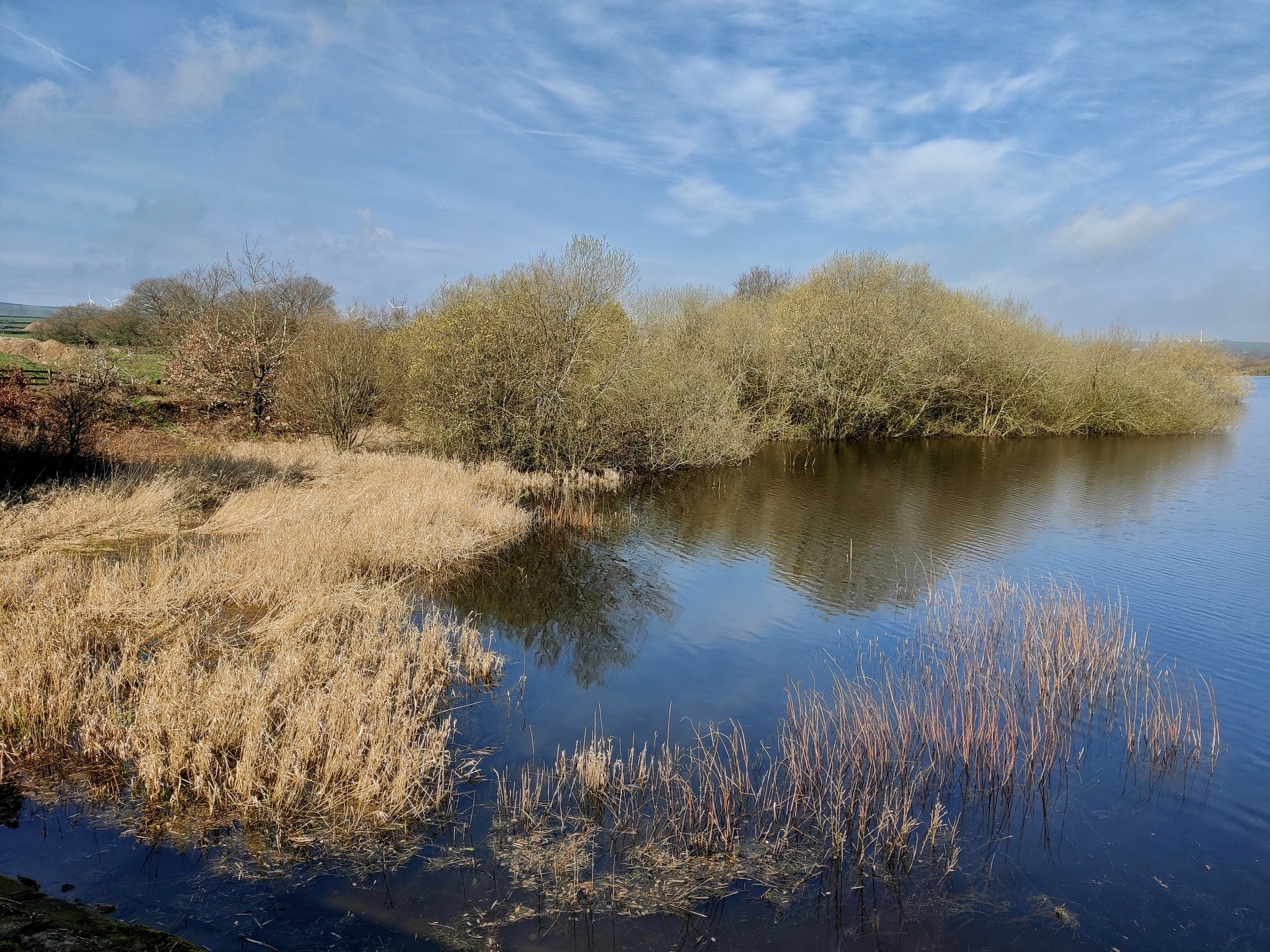 Scout Dike Reservoir
