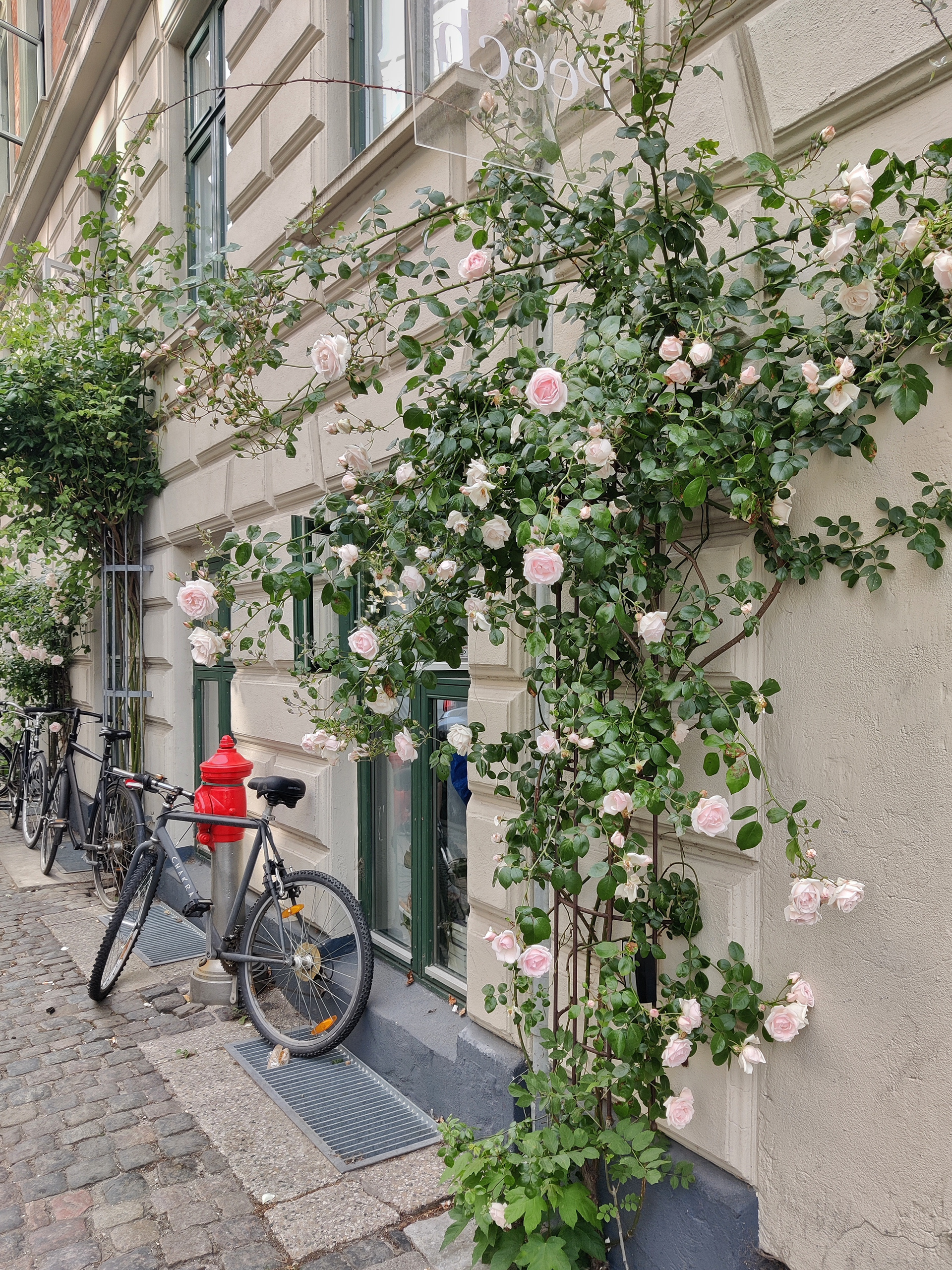  Copenhagen (Denmark)