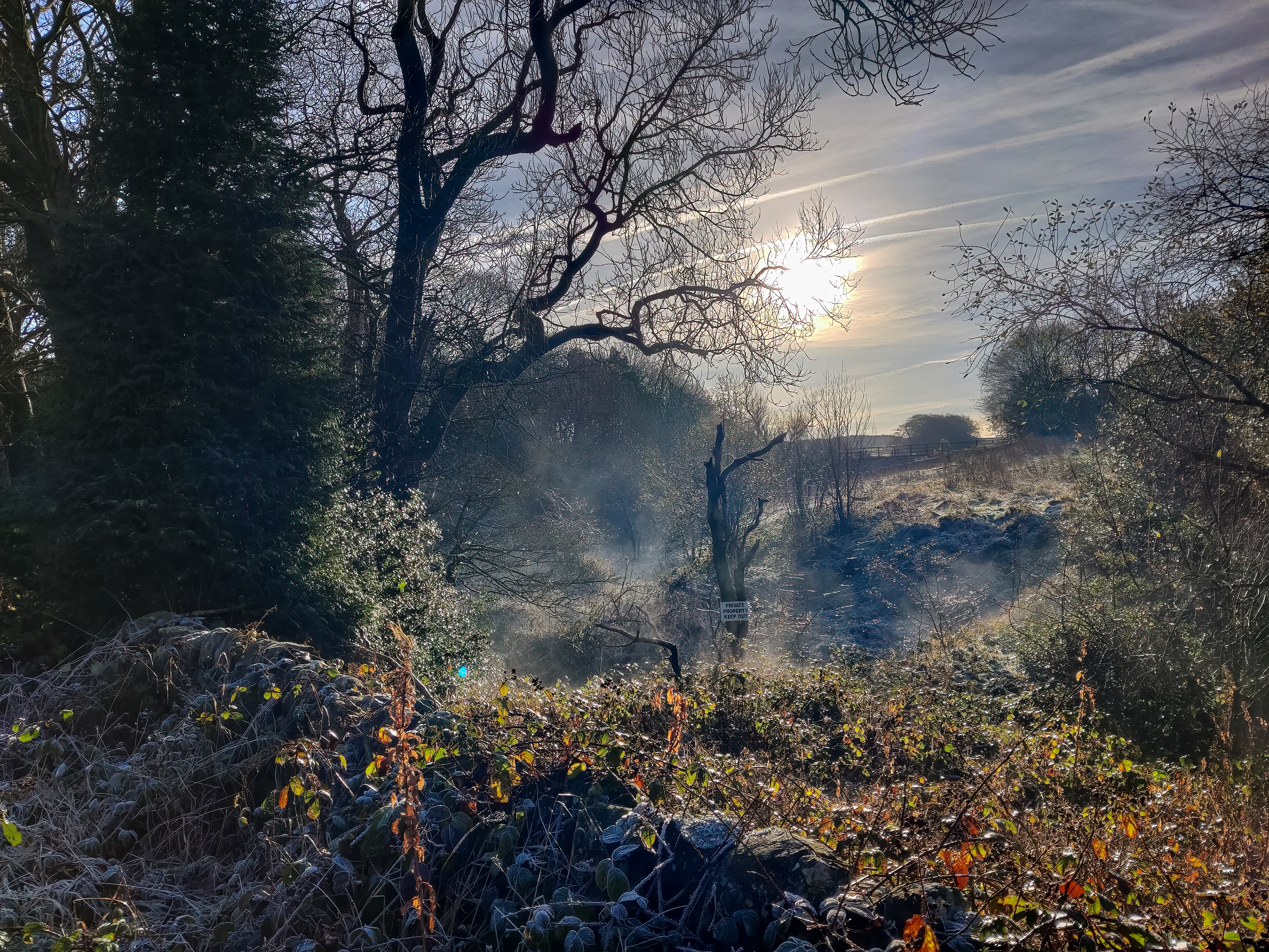 Joan Royd Lane, Cubley