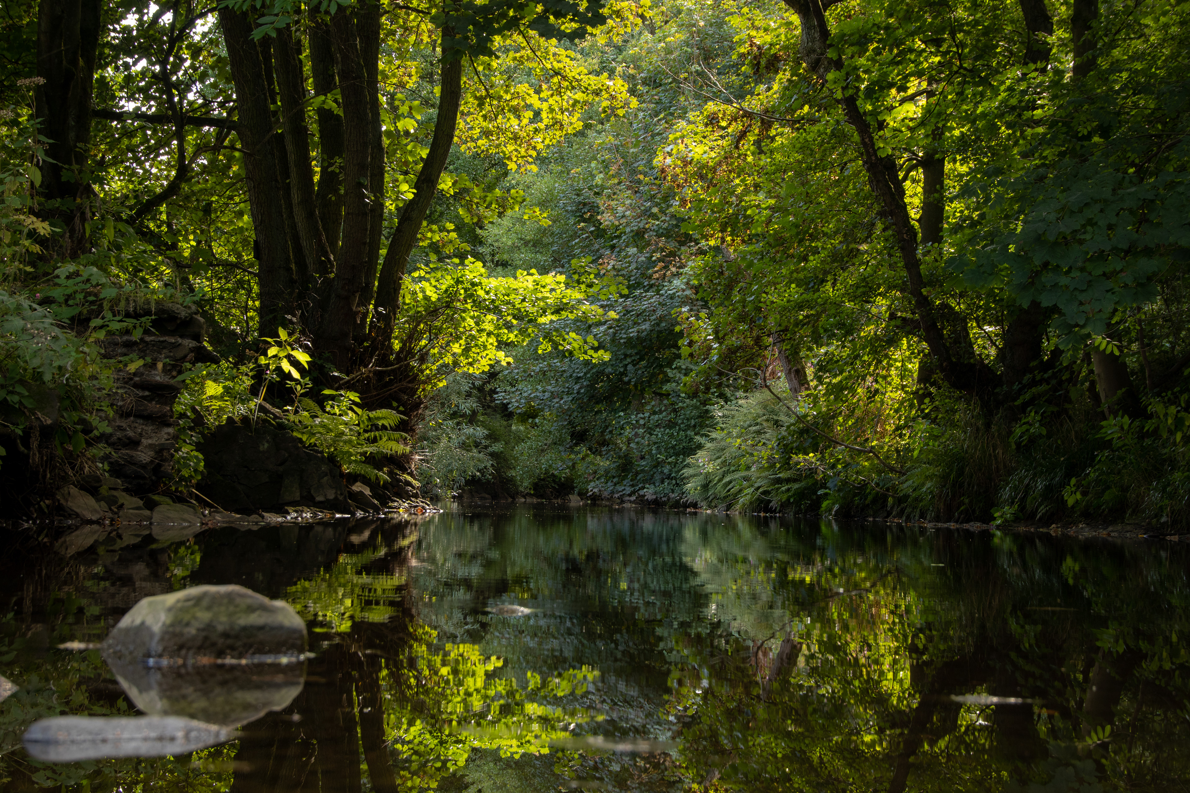 Stepping Stones, River Don