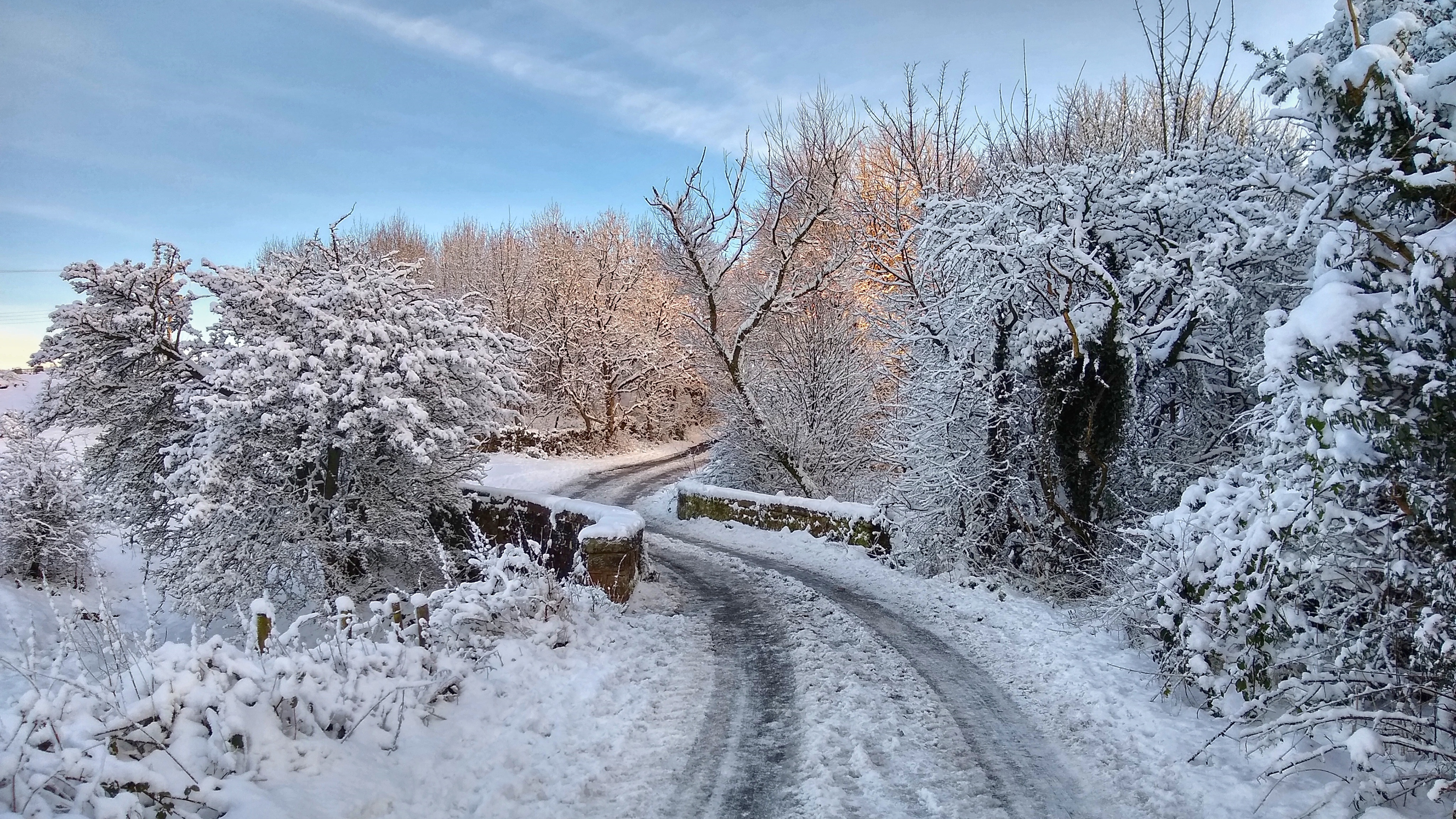 Joan Royd Lane, Cubley