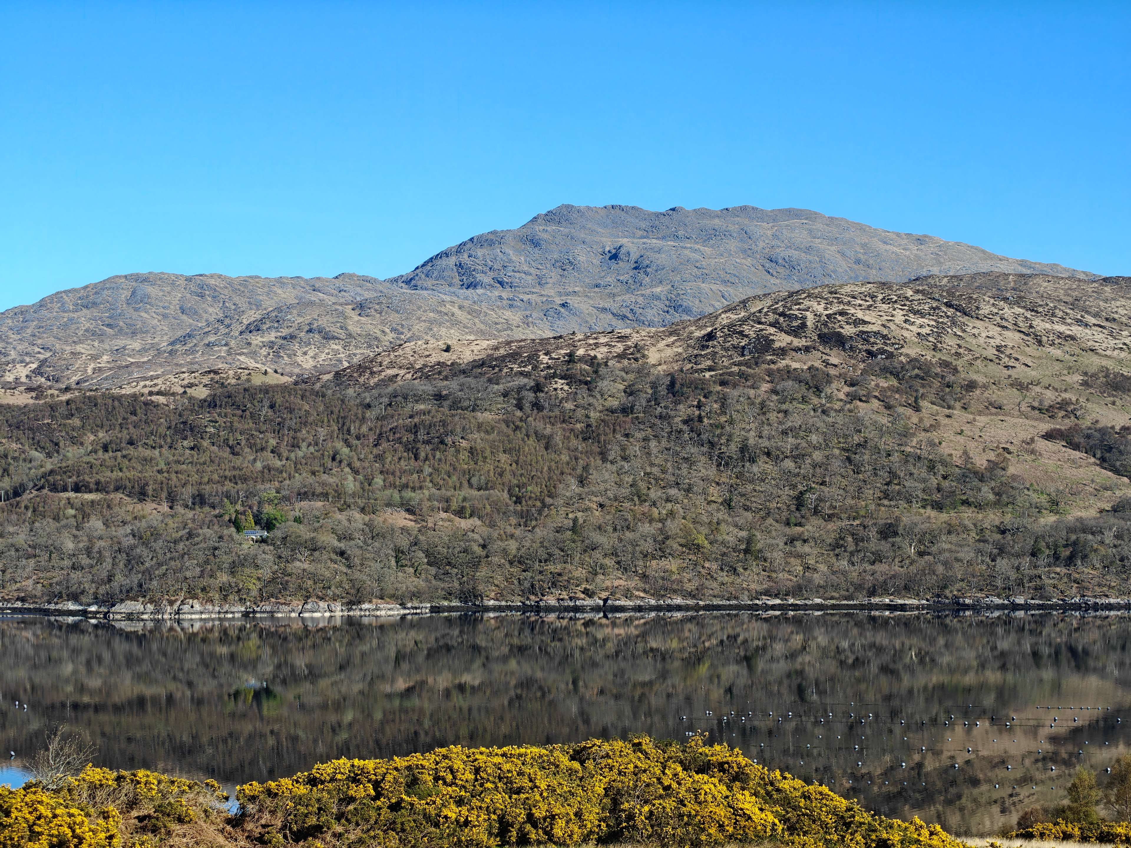 Loch Sunart
