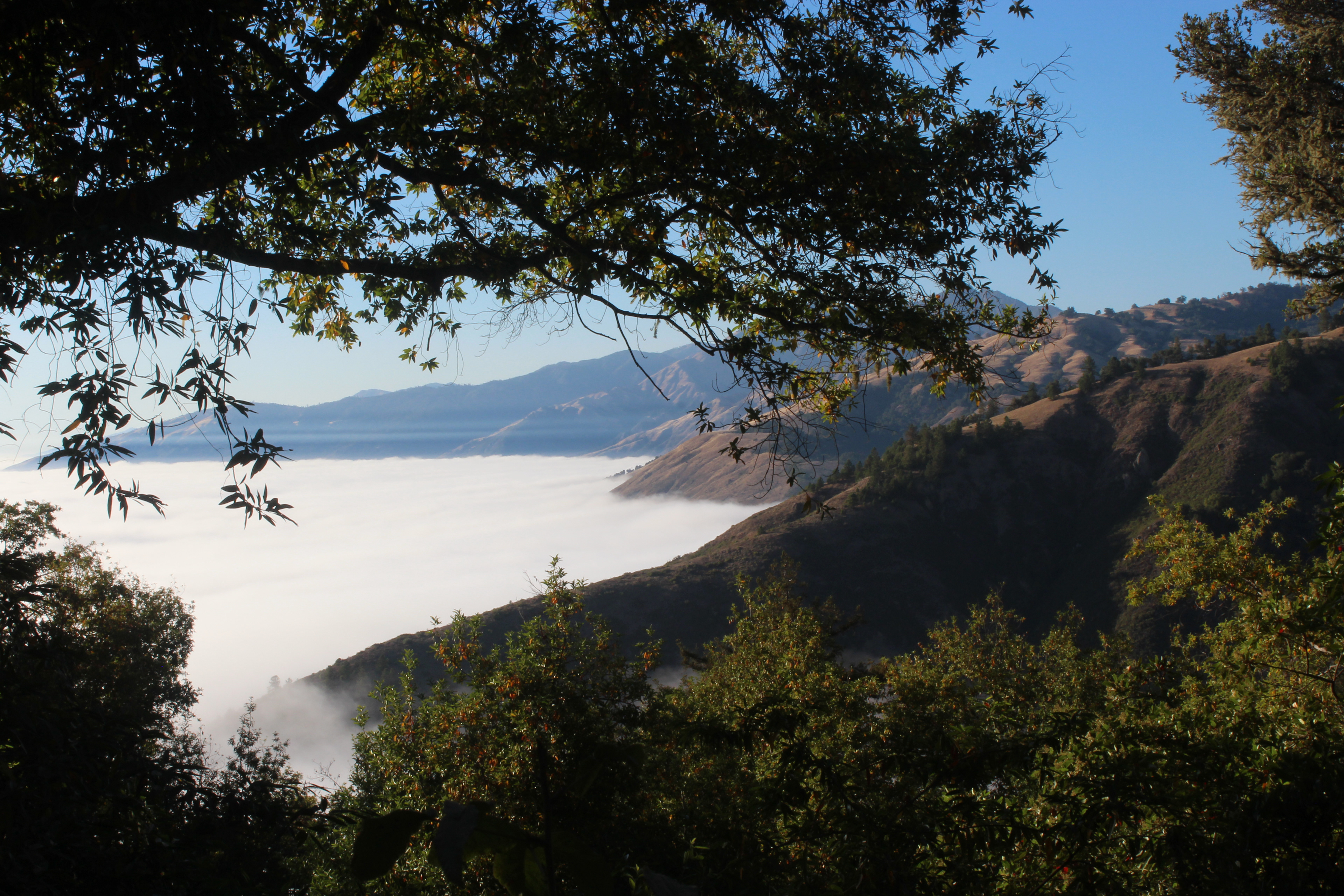 big sur, california