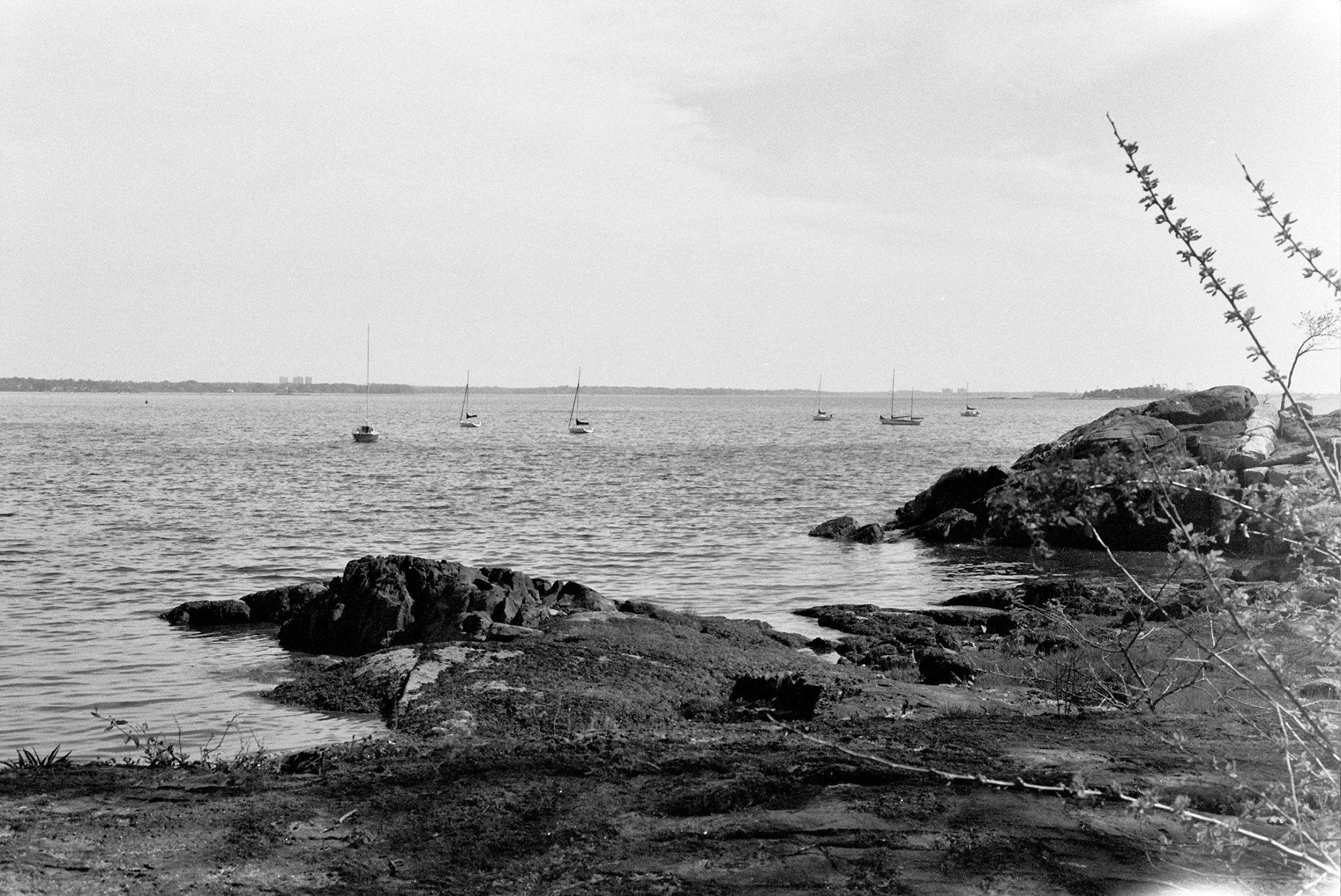 manor park, new york (on film)