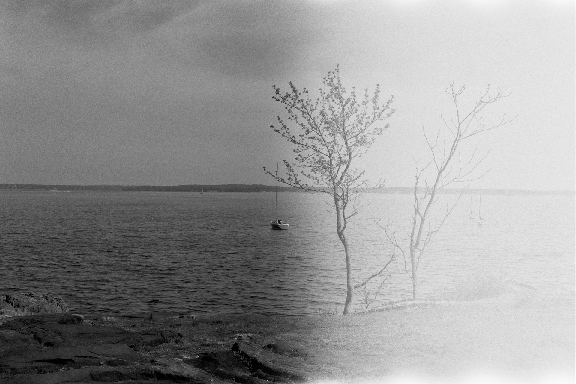 disappearance of memory (on film)