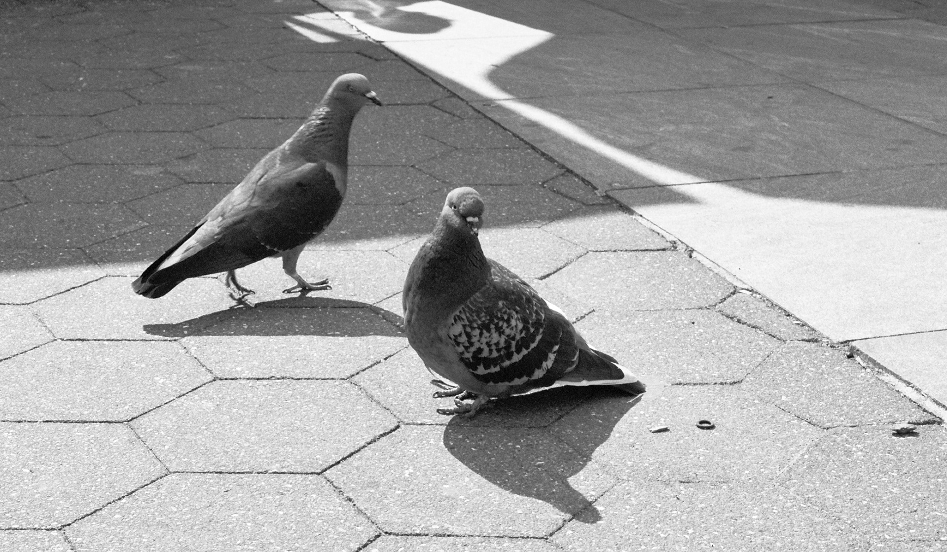 new york city (on film)