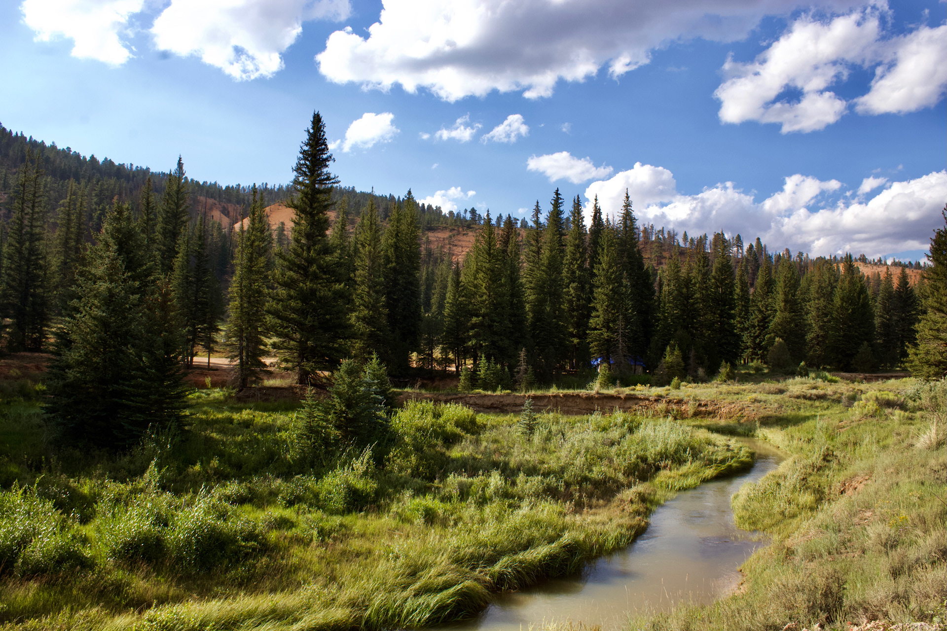 dixie national forest, utah