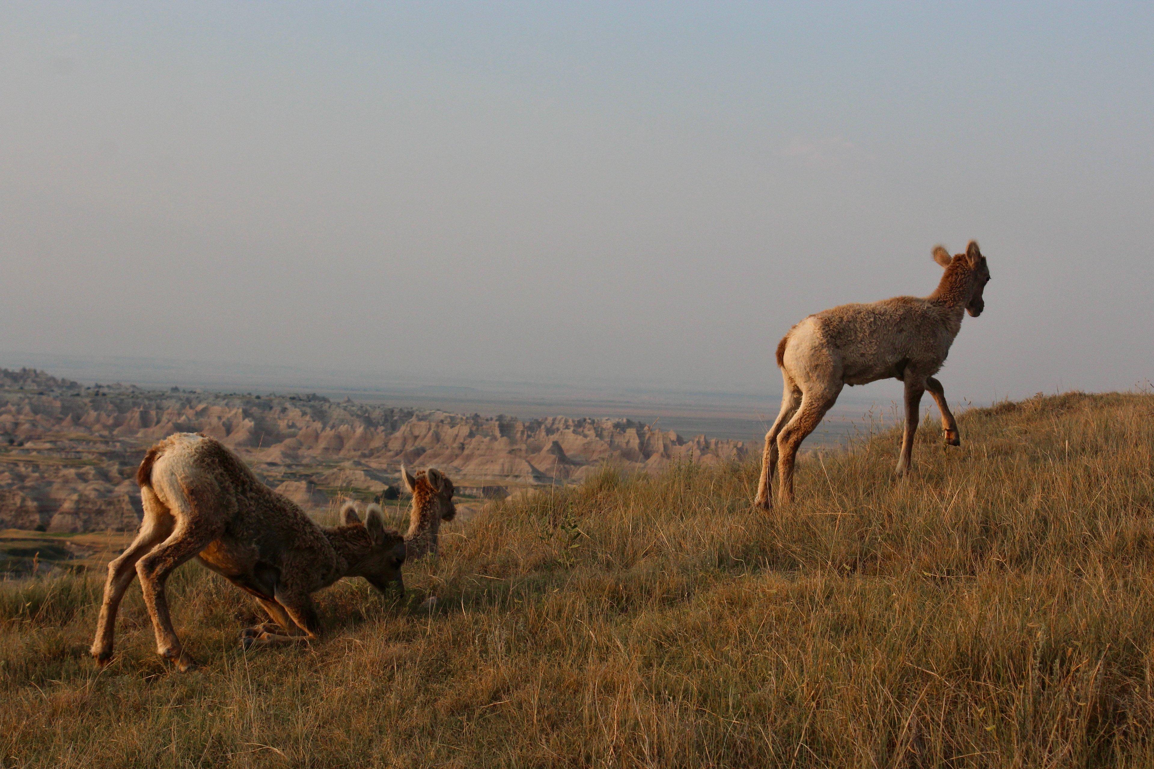 badlands national park