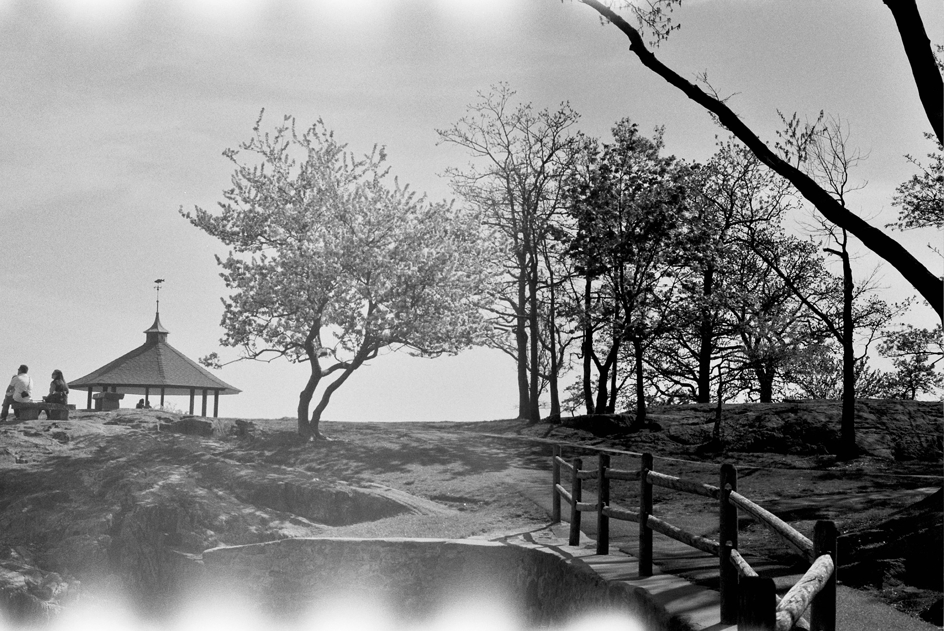 manor park, new york (on film)