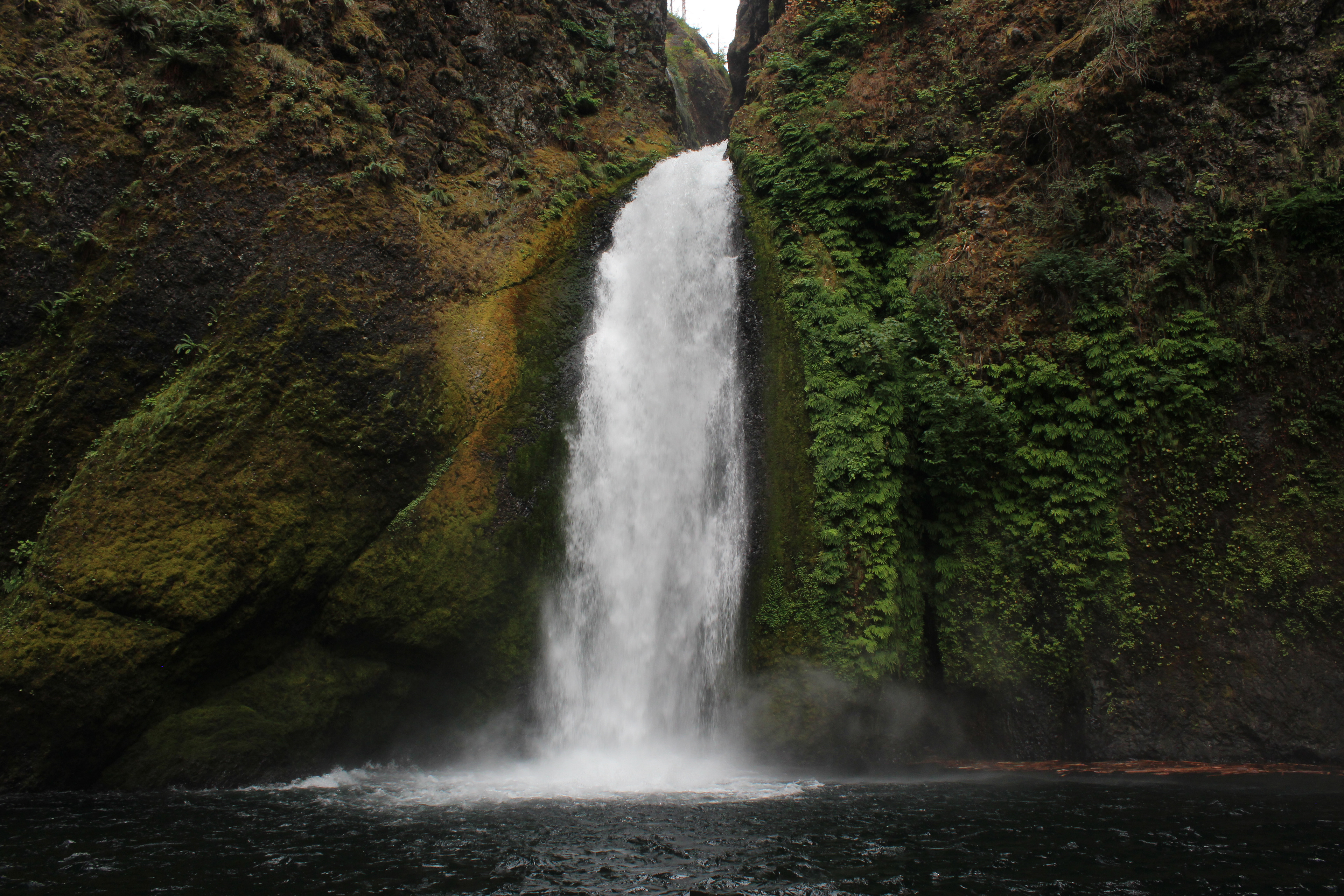wahclella falls, oregon