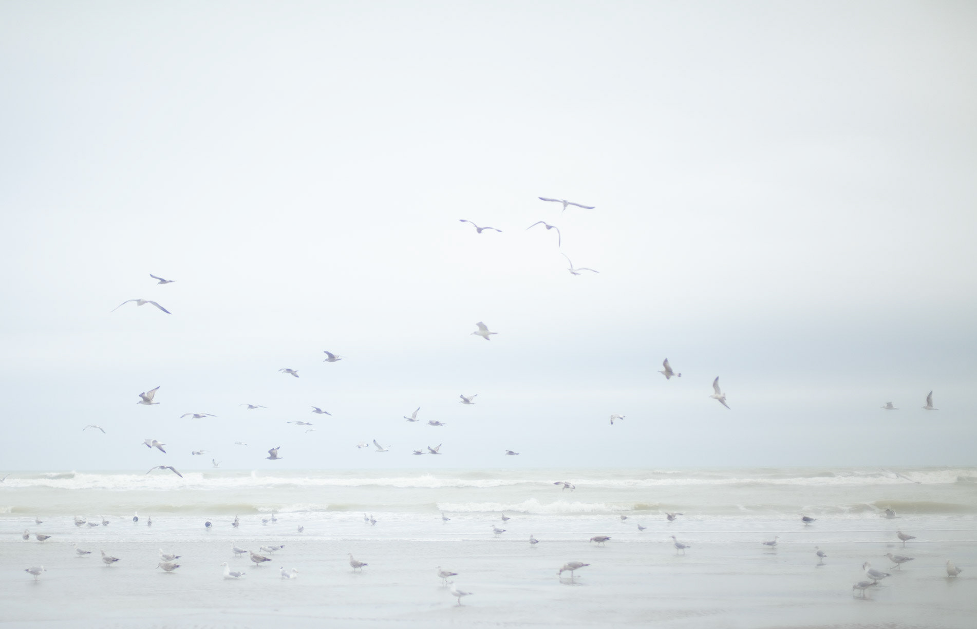 Le Touquet