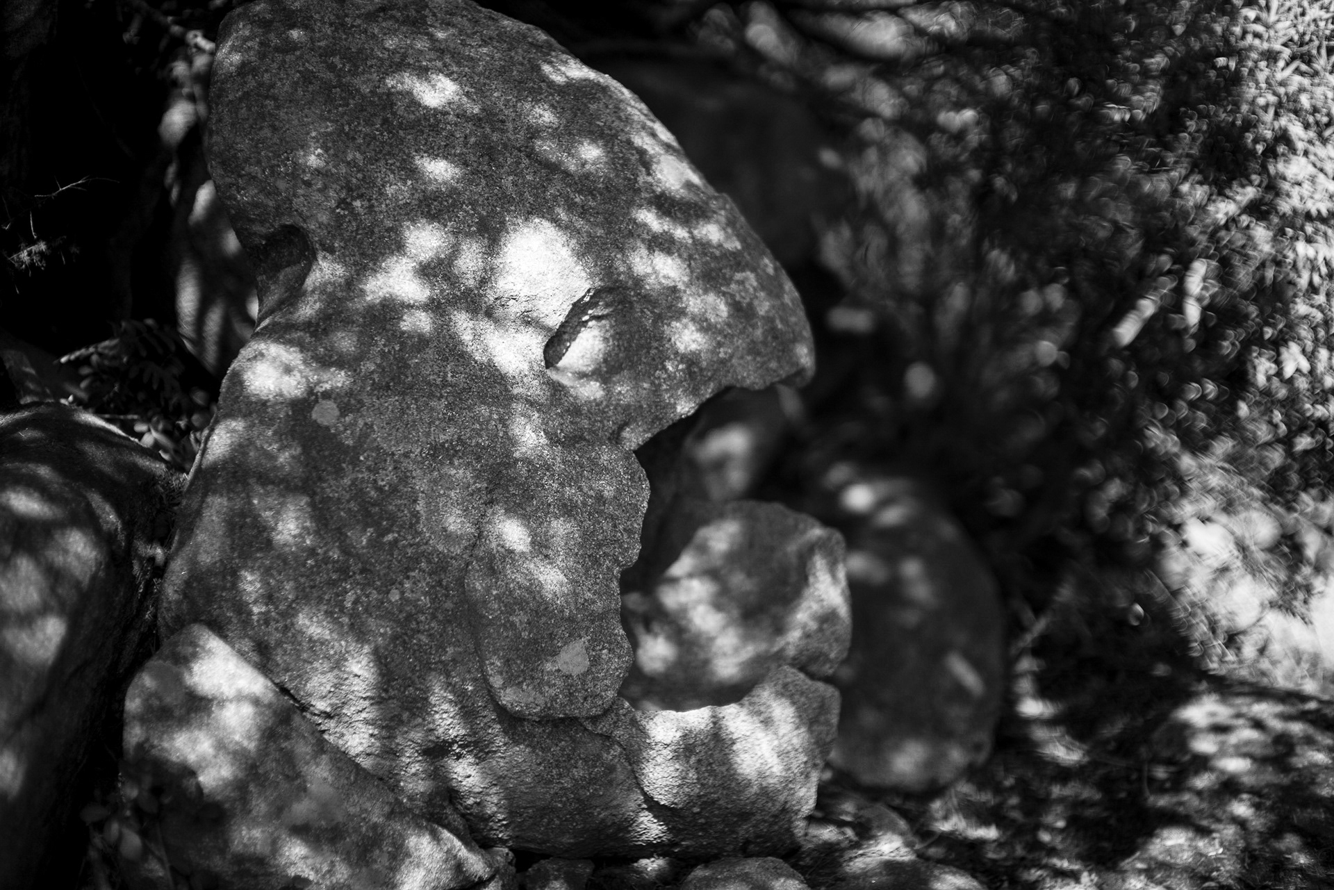 Corse