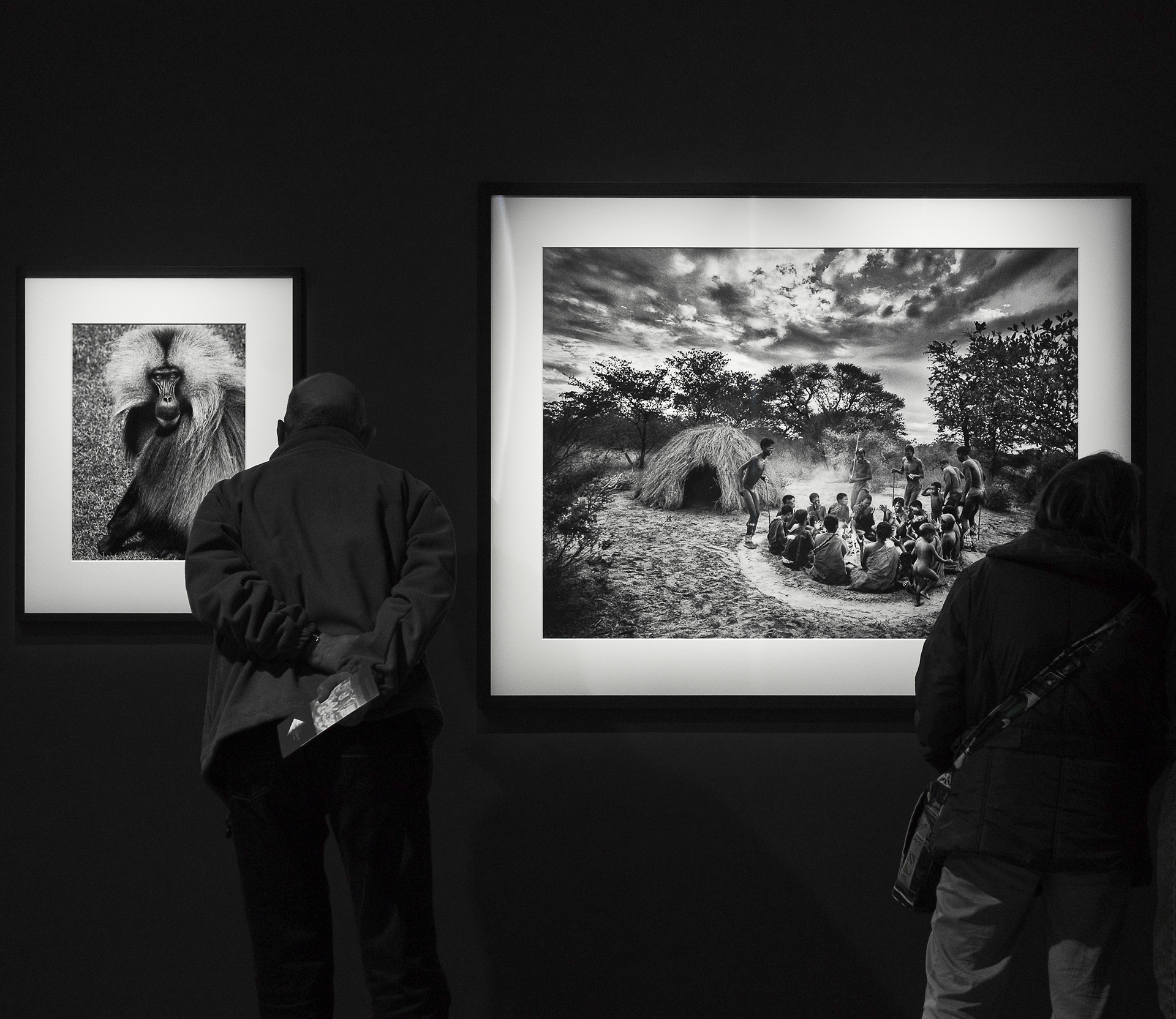 Musée photographie: Paris