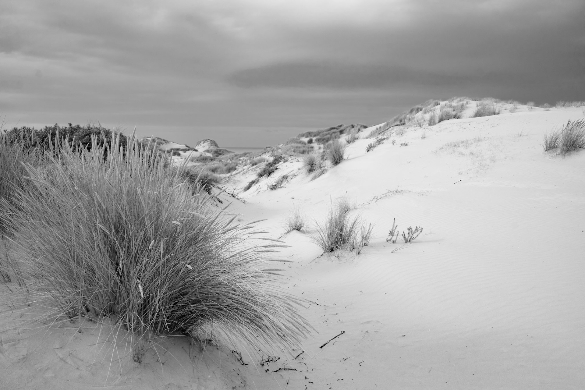 BAIE DE SOMME