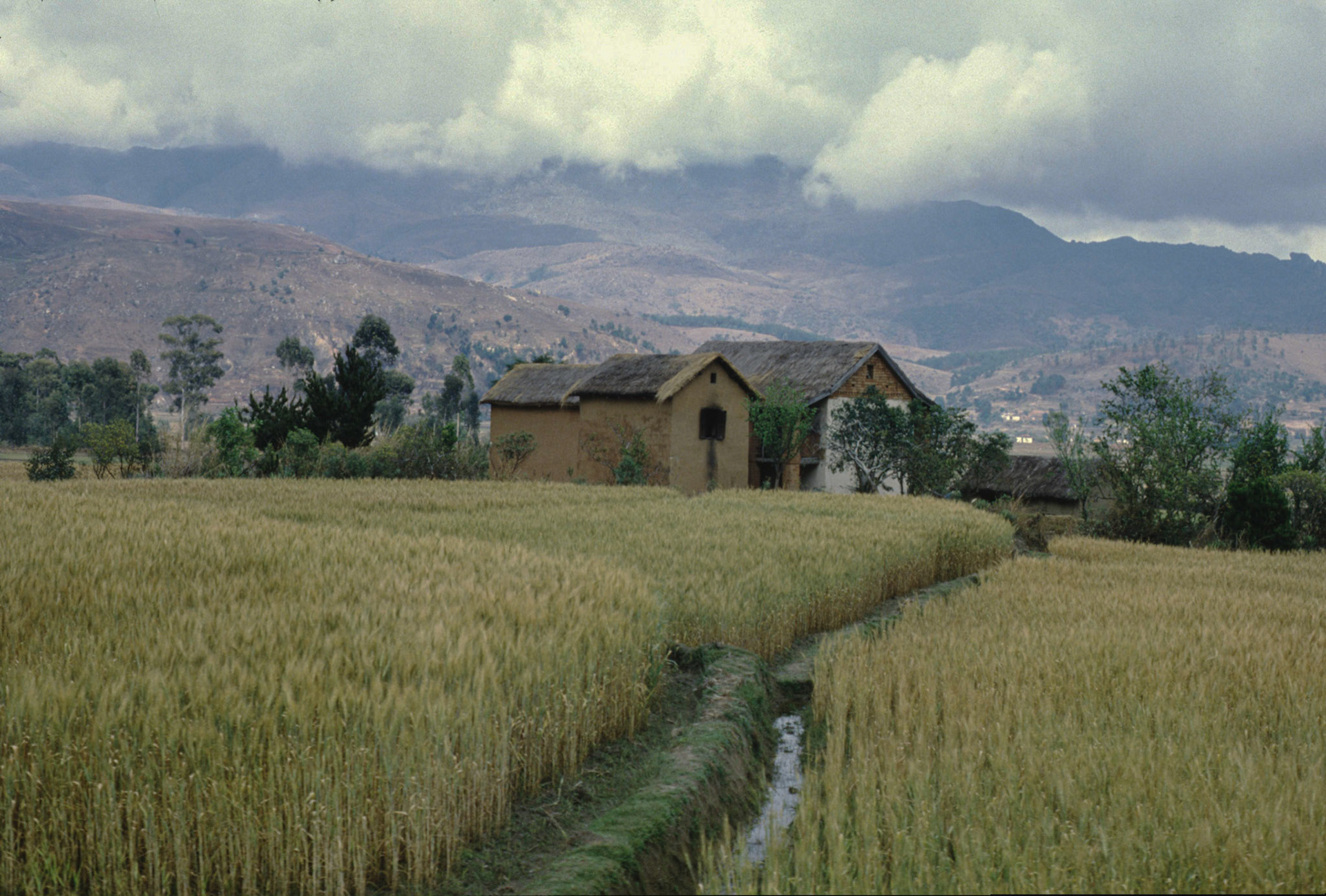 Madagascar
