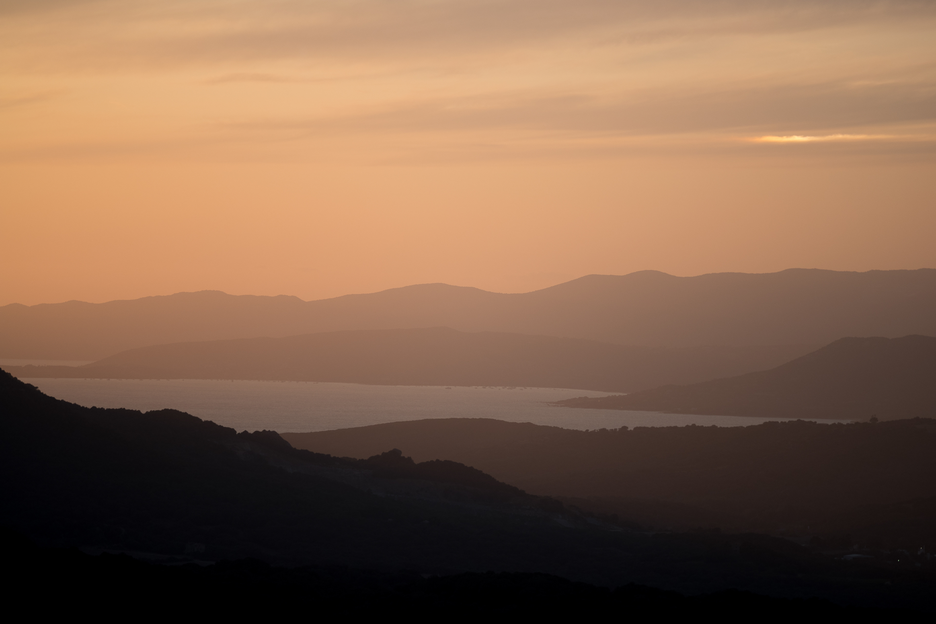 Corse